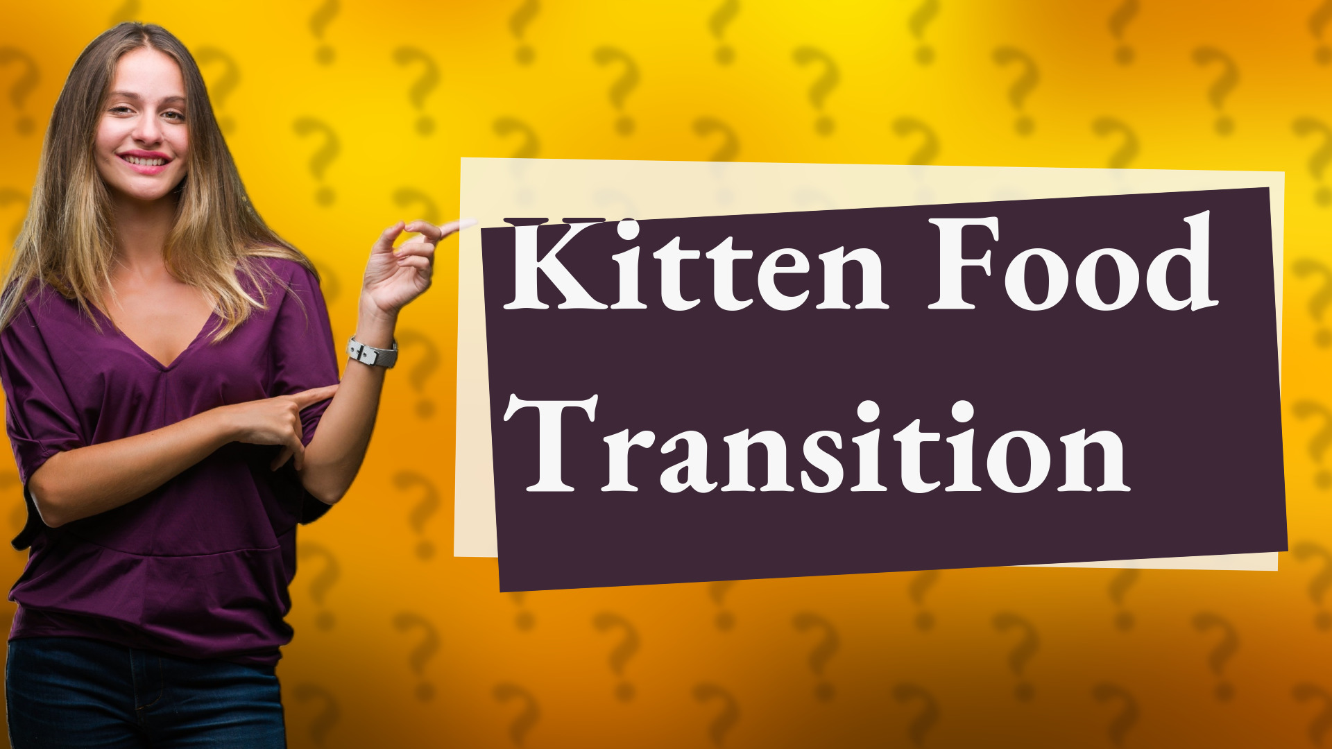 Kitten Food Transition