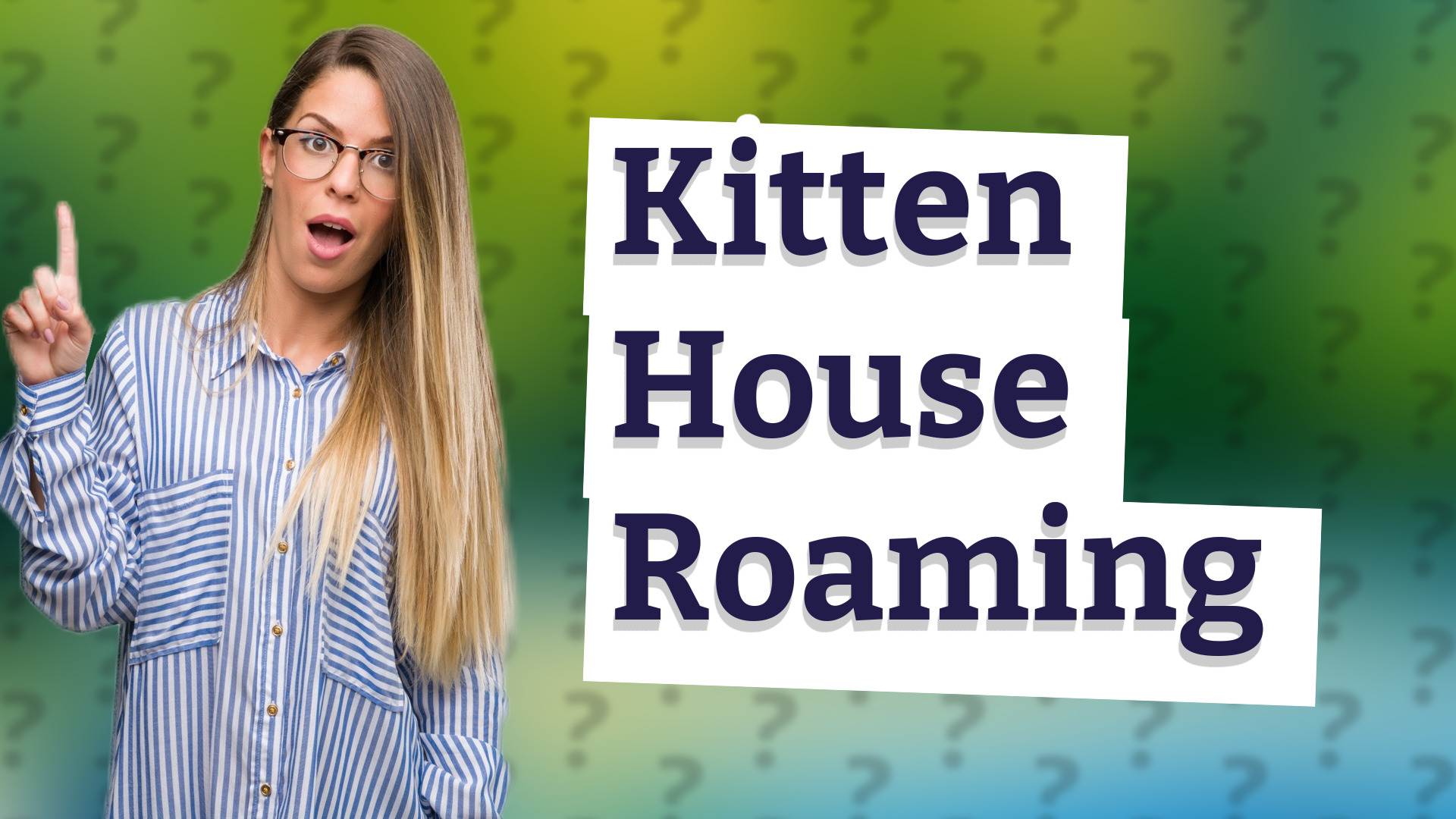 Kitten House Roaming