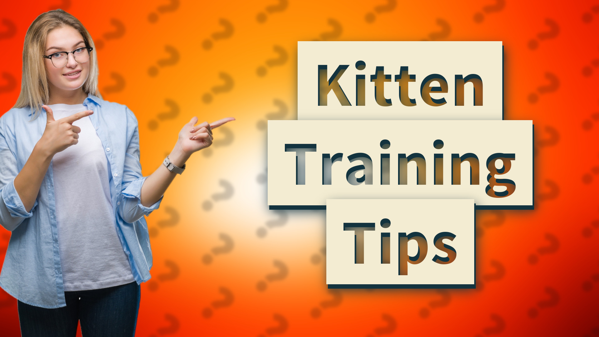 Kitten Training Tips