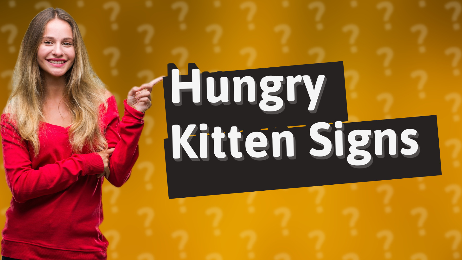 Hungry Kitten Signs
