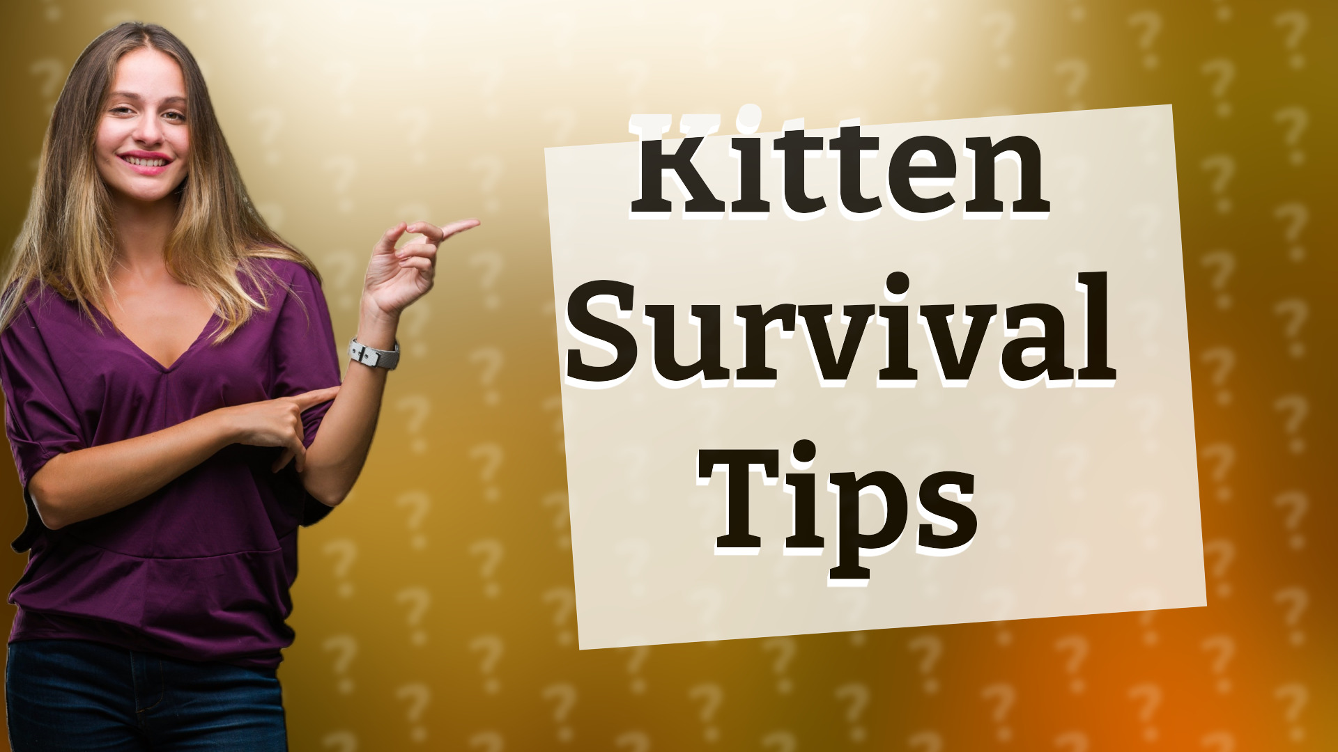 Kitten Survival Tips