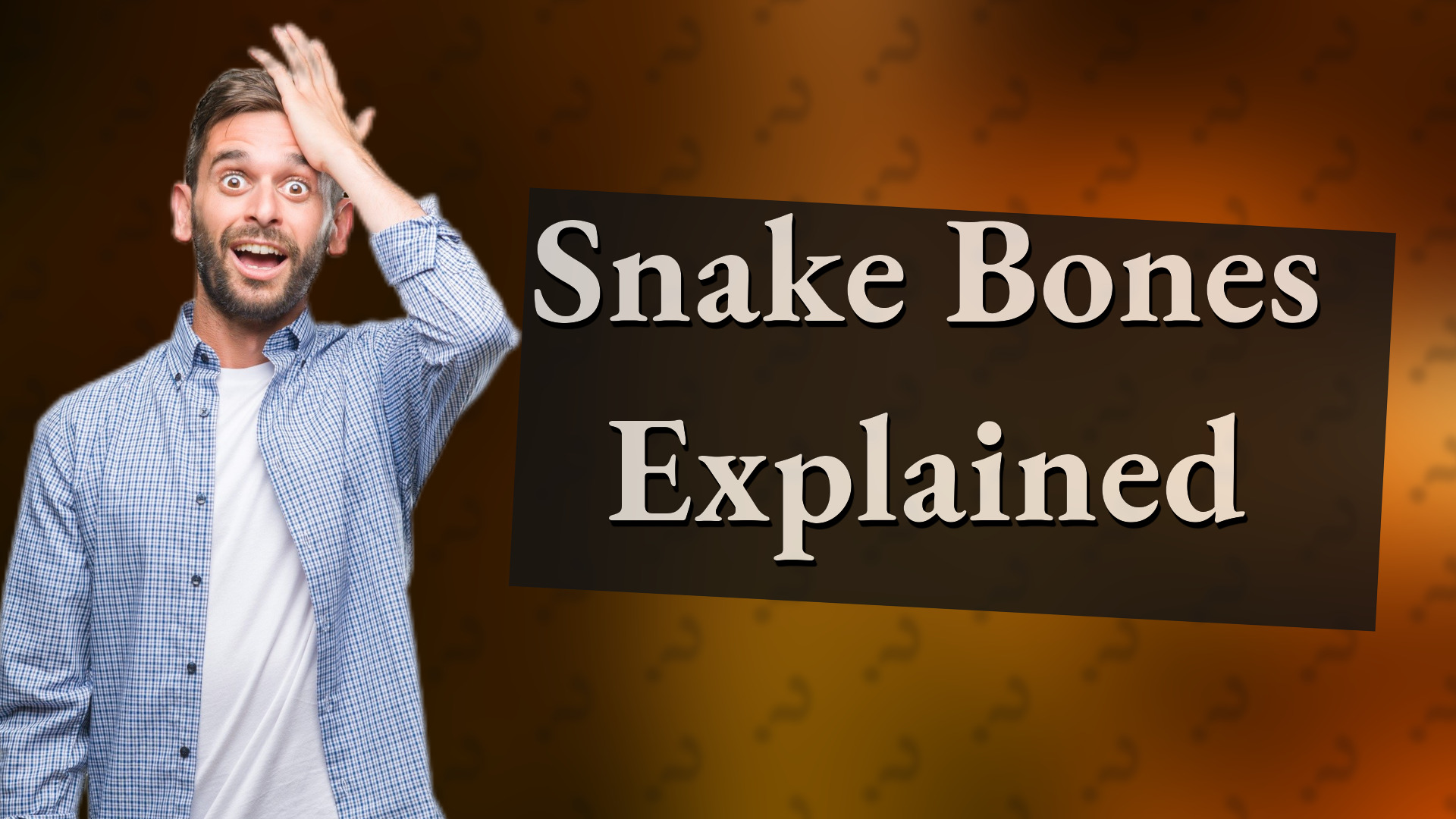 Snake Bones Explained