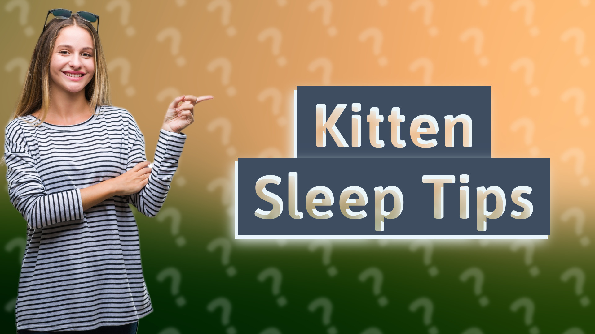 Kitten Sleep Tips