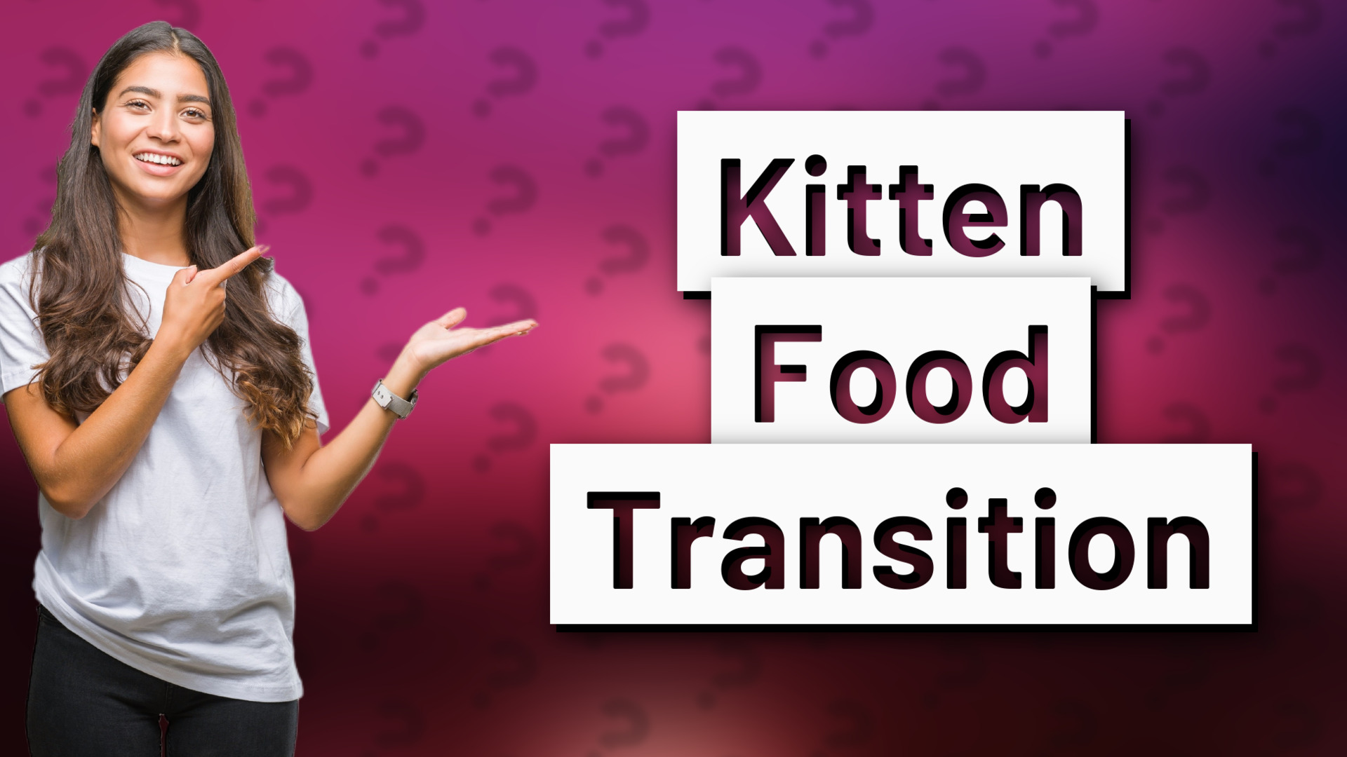 Kitten Food Transition