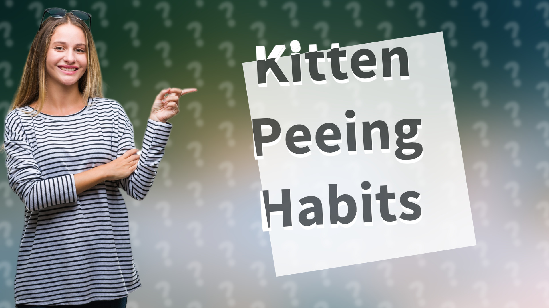 Kitten Peeing Habits