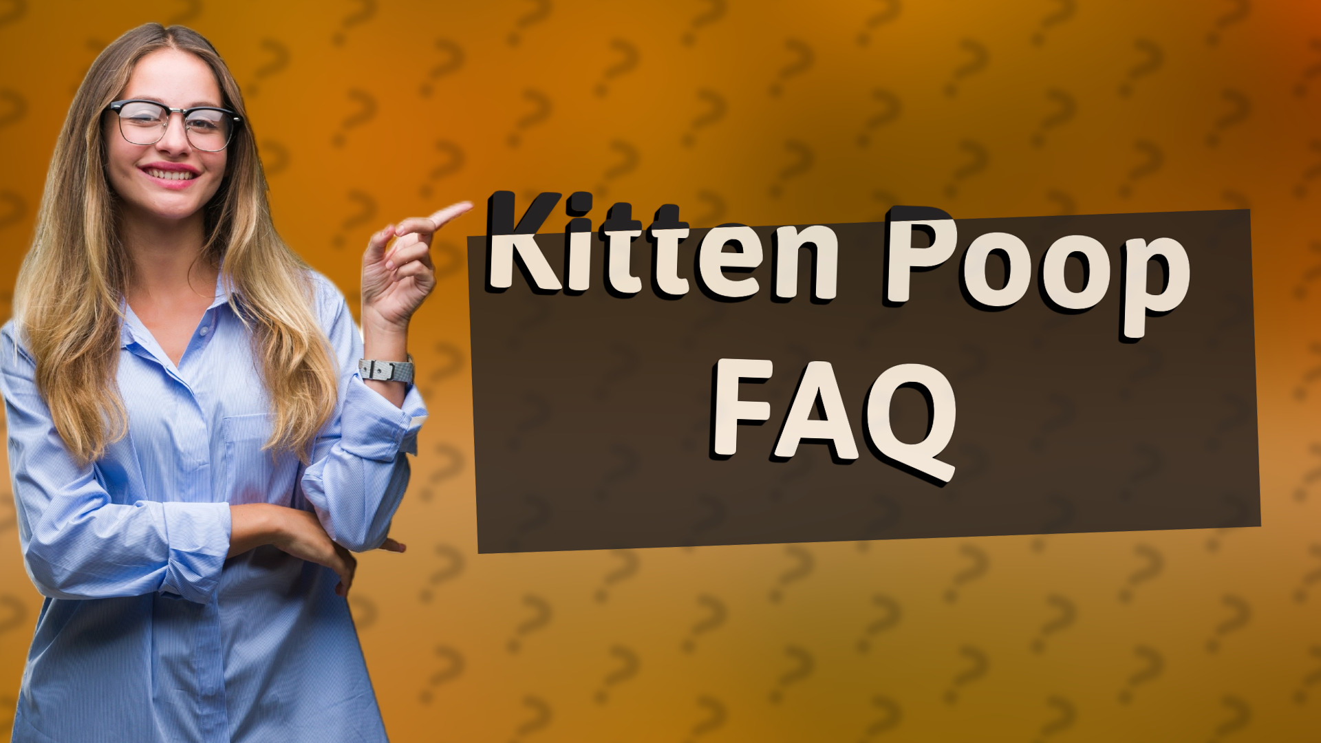 Kitten Poop FAQ