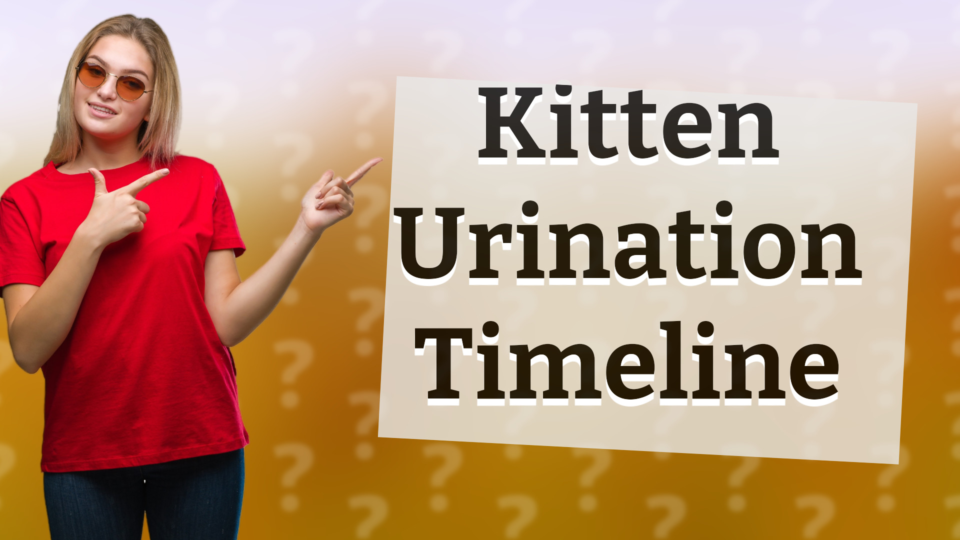 Kitten Urination Timeline
