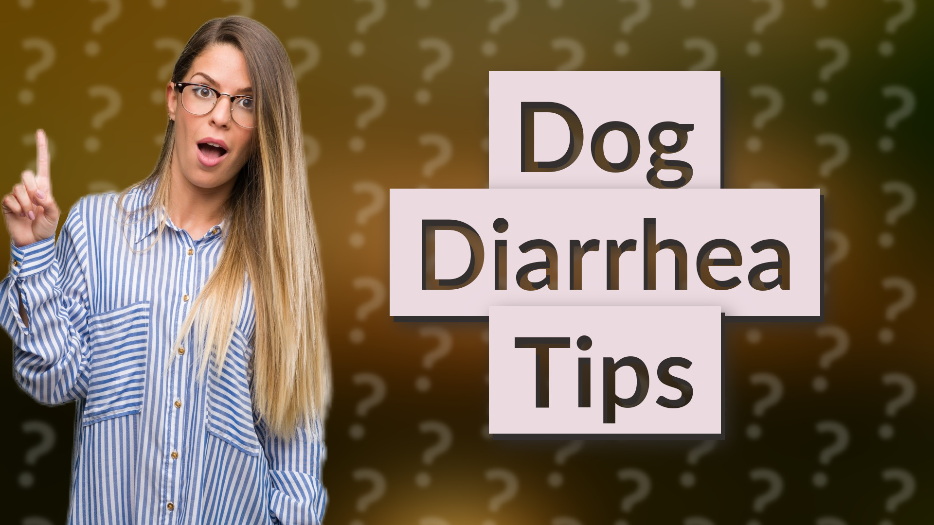 Dog Diarrhea Tips