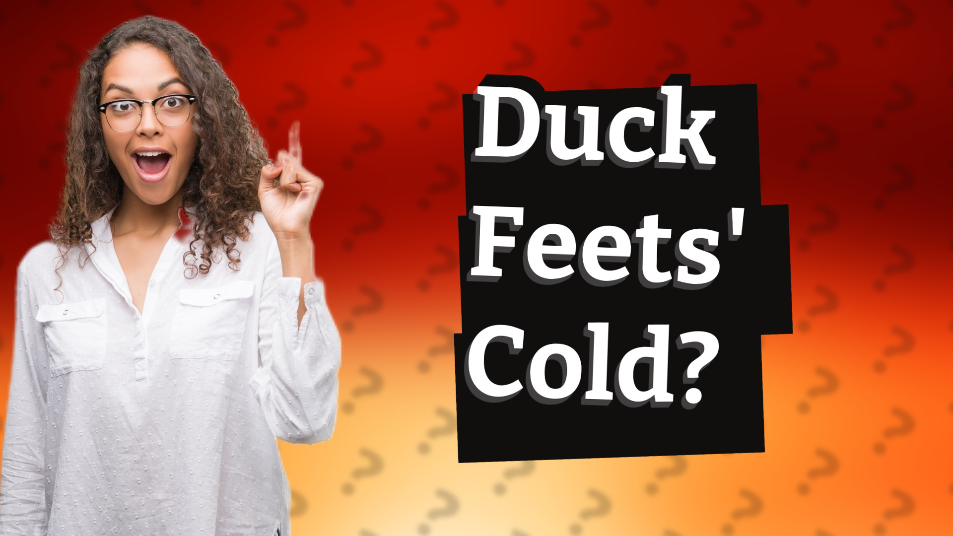 Duck Feets' Cold?