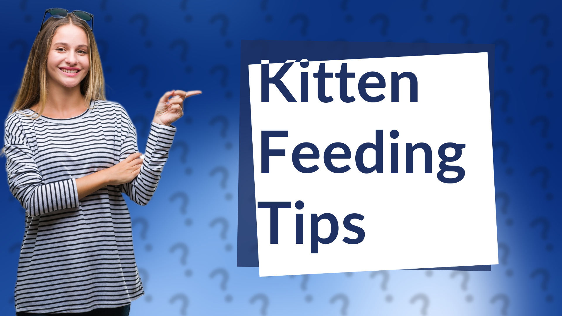 Kitten Feeding Tips