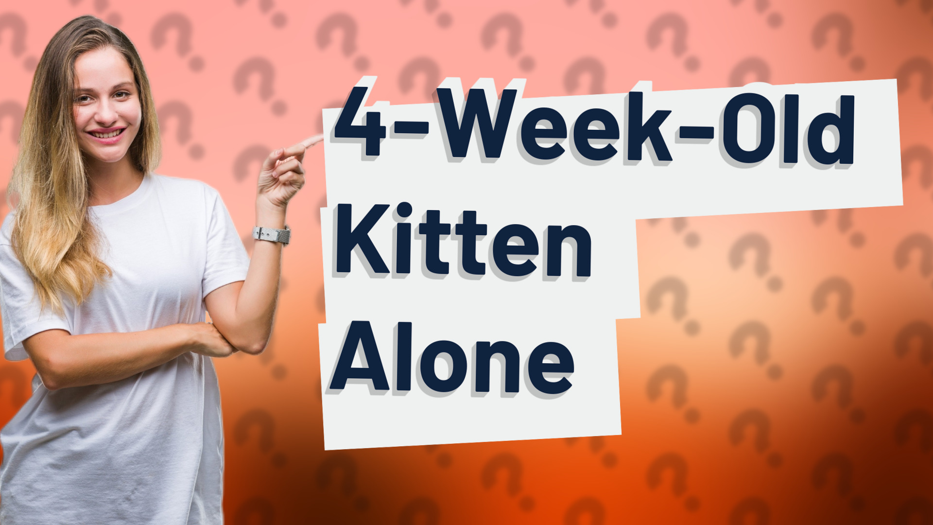 4-Week-Old Kitten Alone