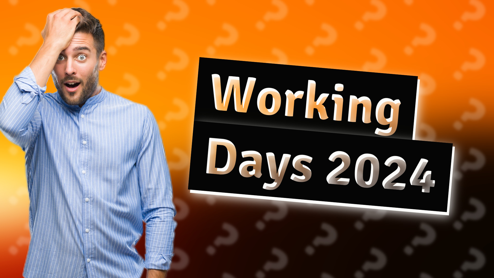 Working Days 2024