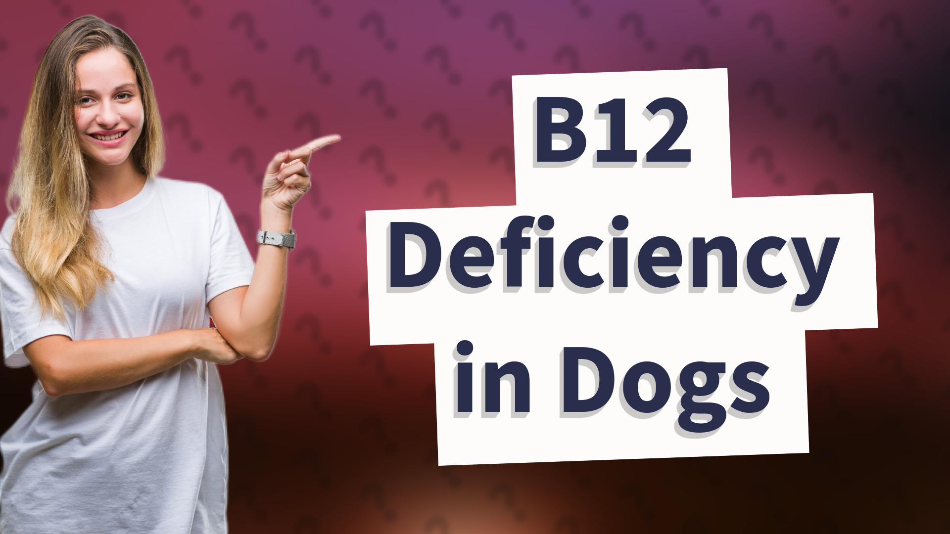 B12 Deficiency in Dogs
