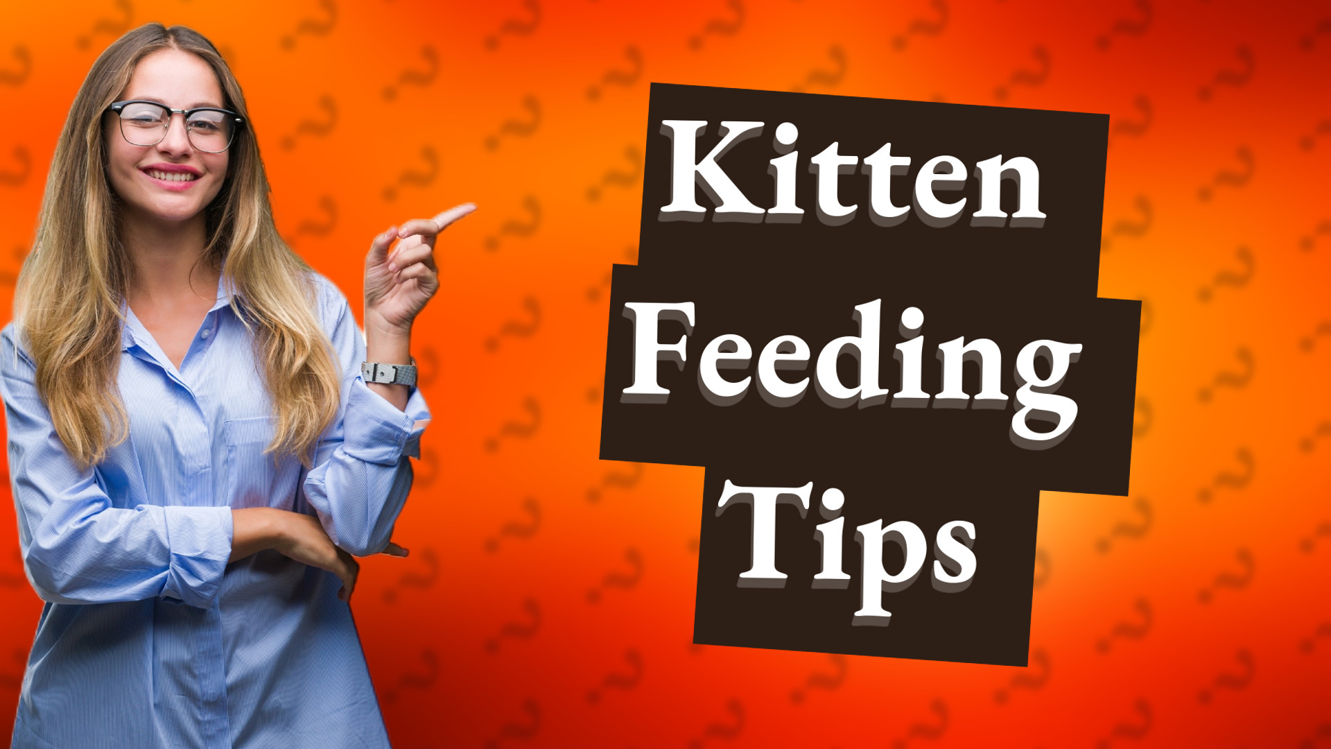 Kitten Feeding Tips