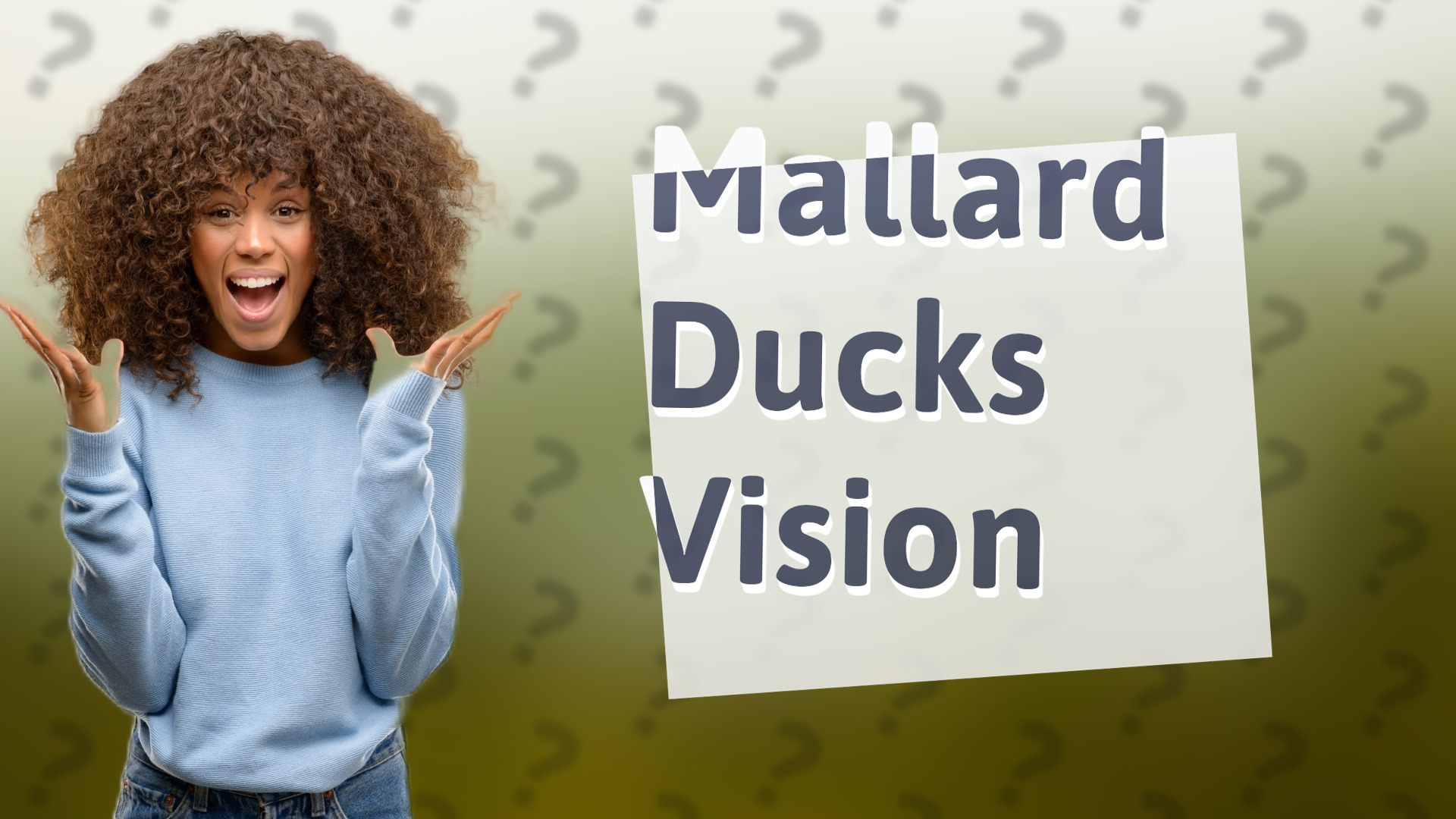 Mallard Ducks Vision
