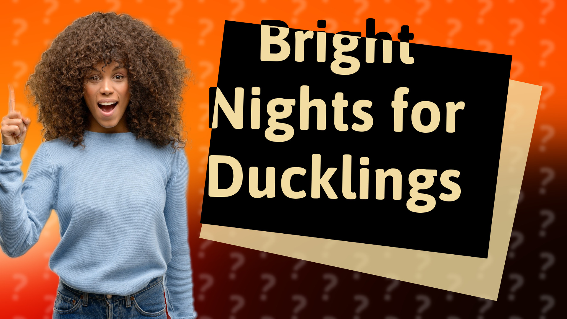 Bright Nights for Ducklings