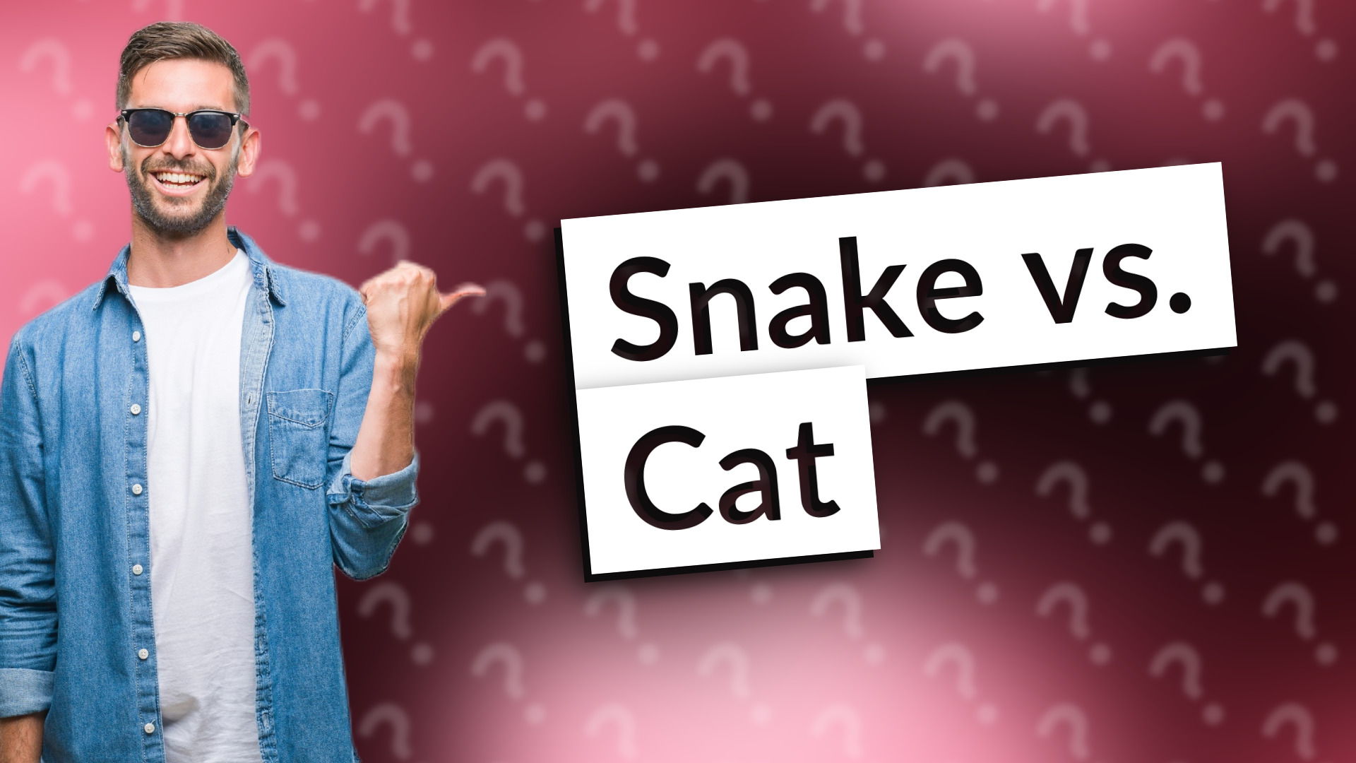 Snake vs. Cat