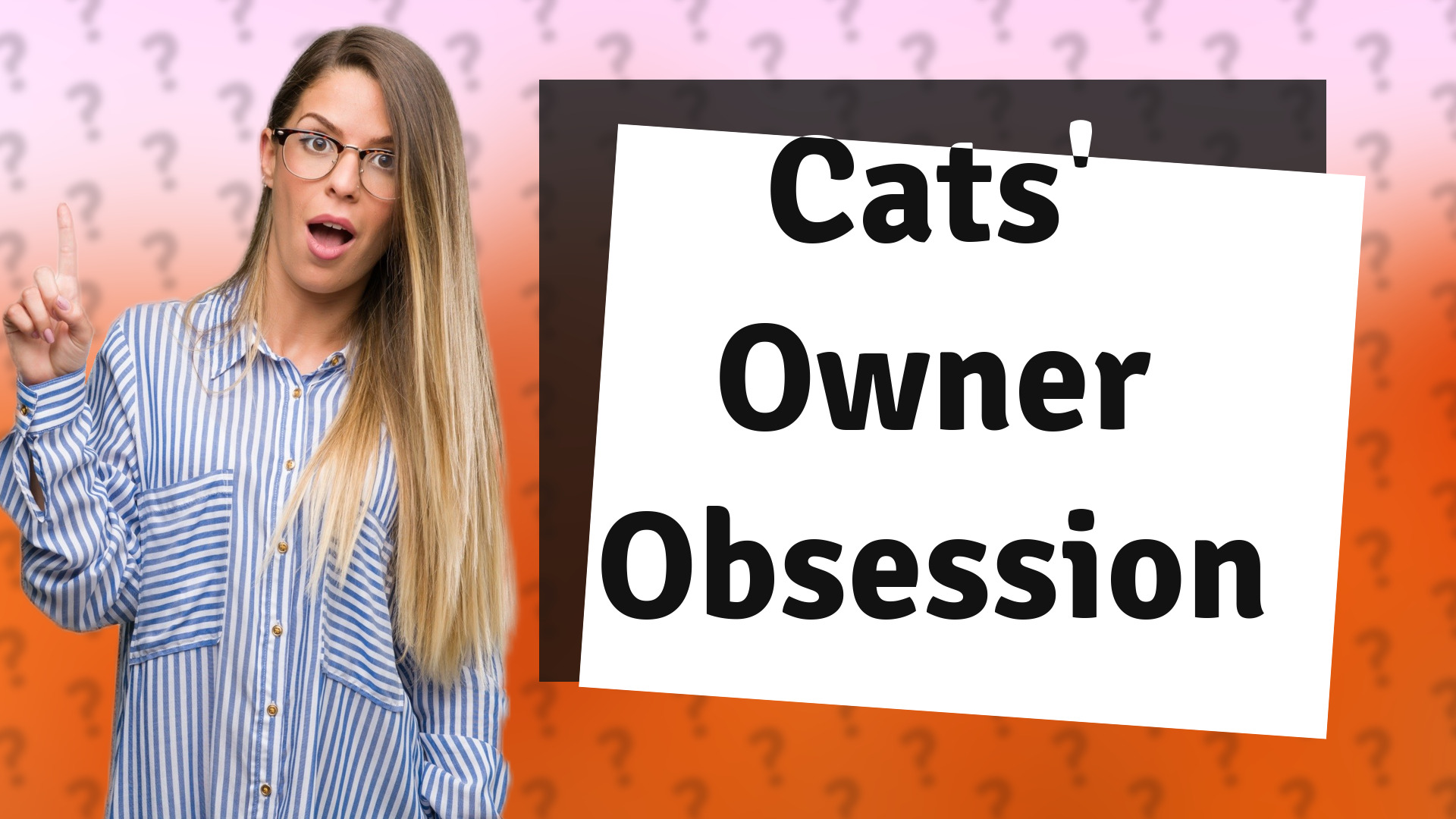Cats' Owner Obsession