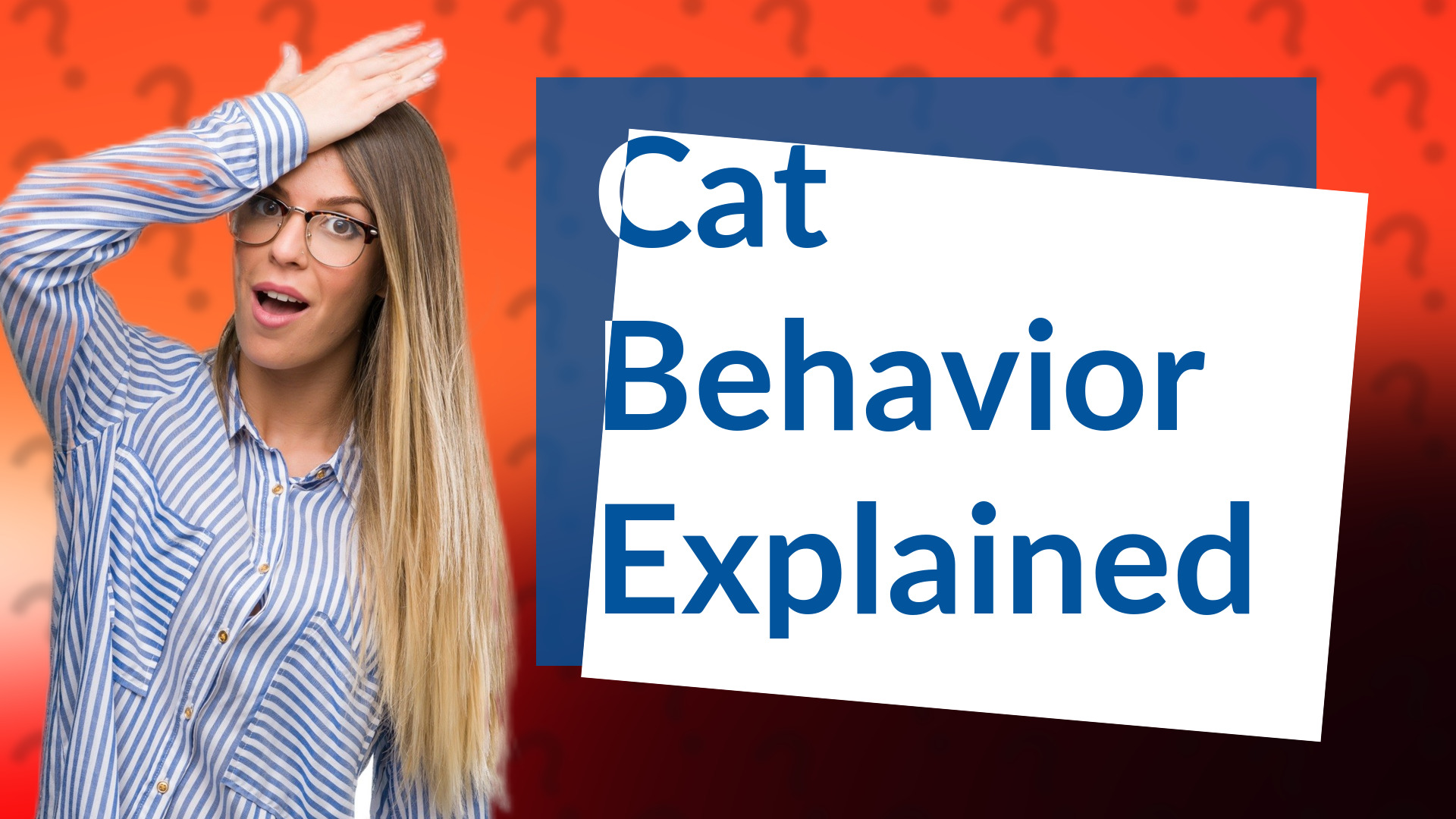 Cat Behavior Explained