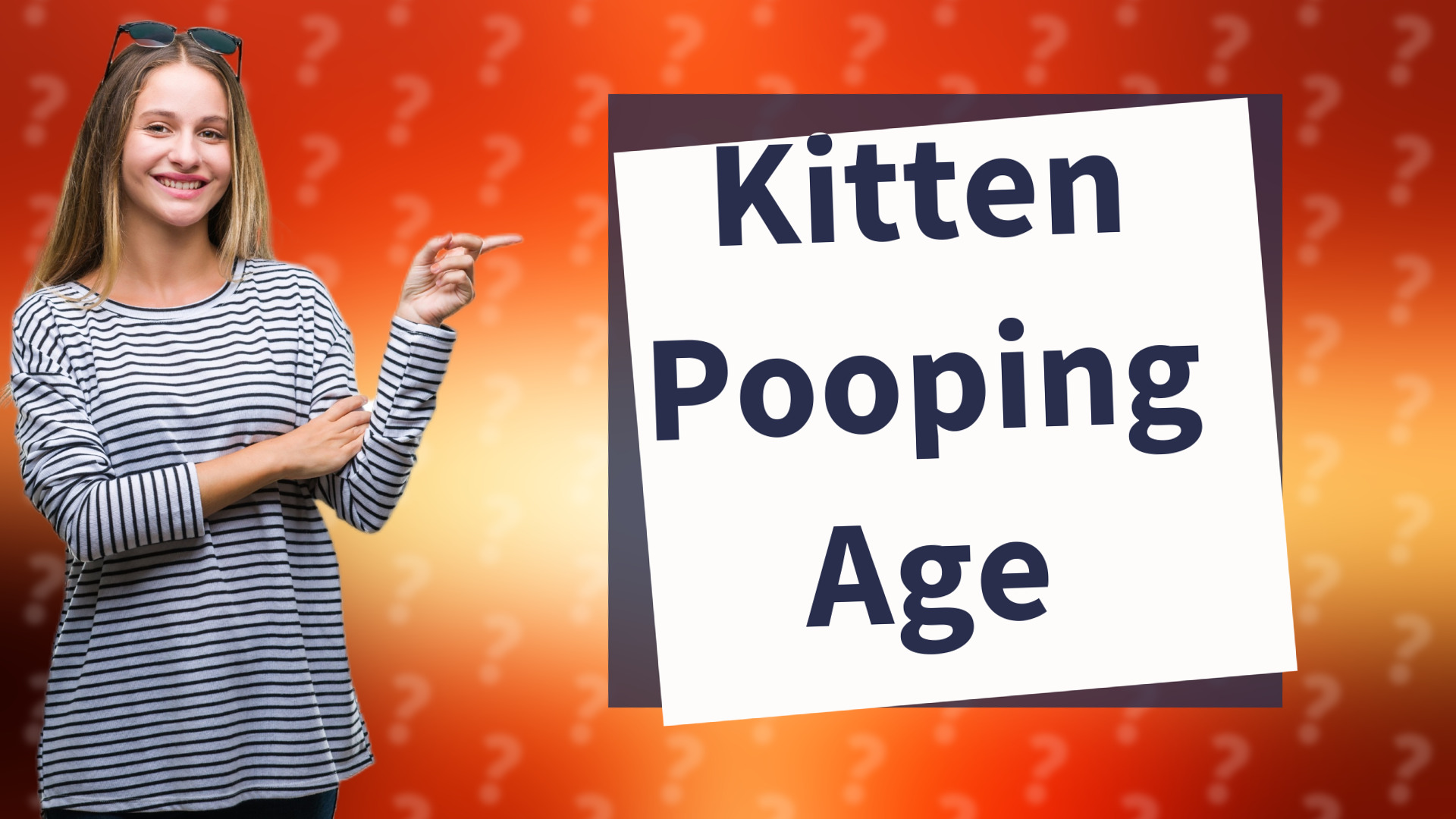 Kitten Pooping Age
