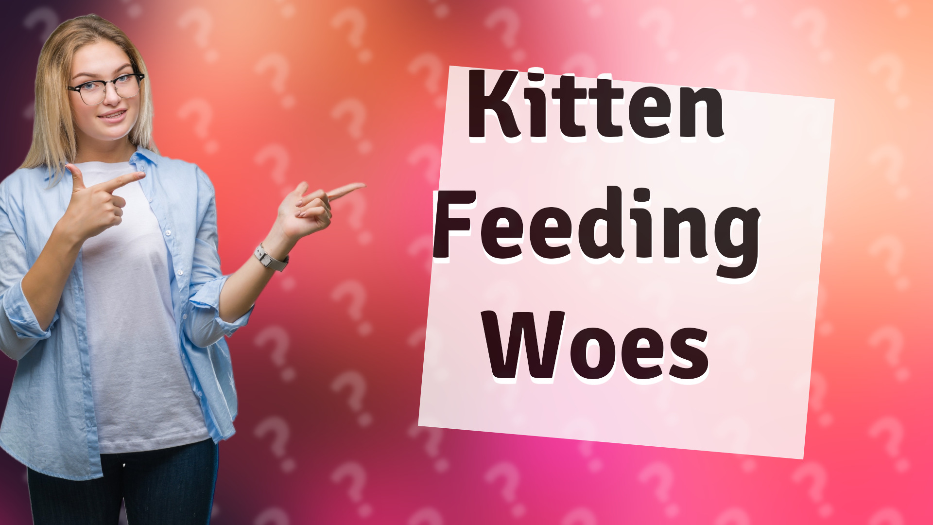 Kitten Feeding Woes