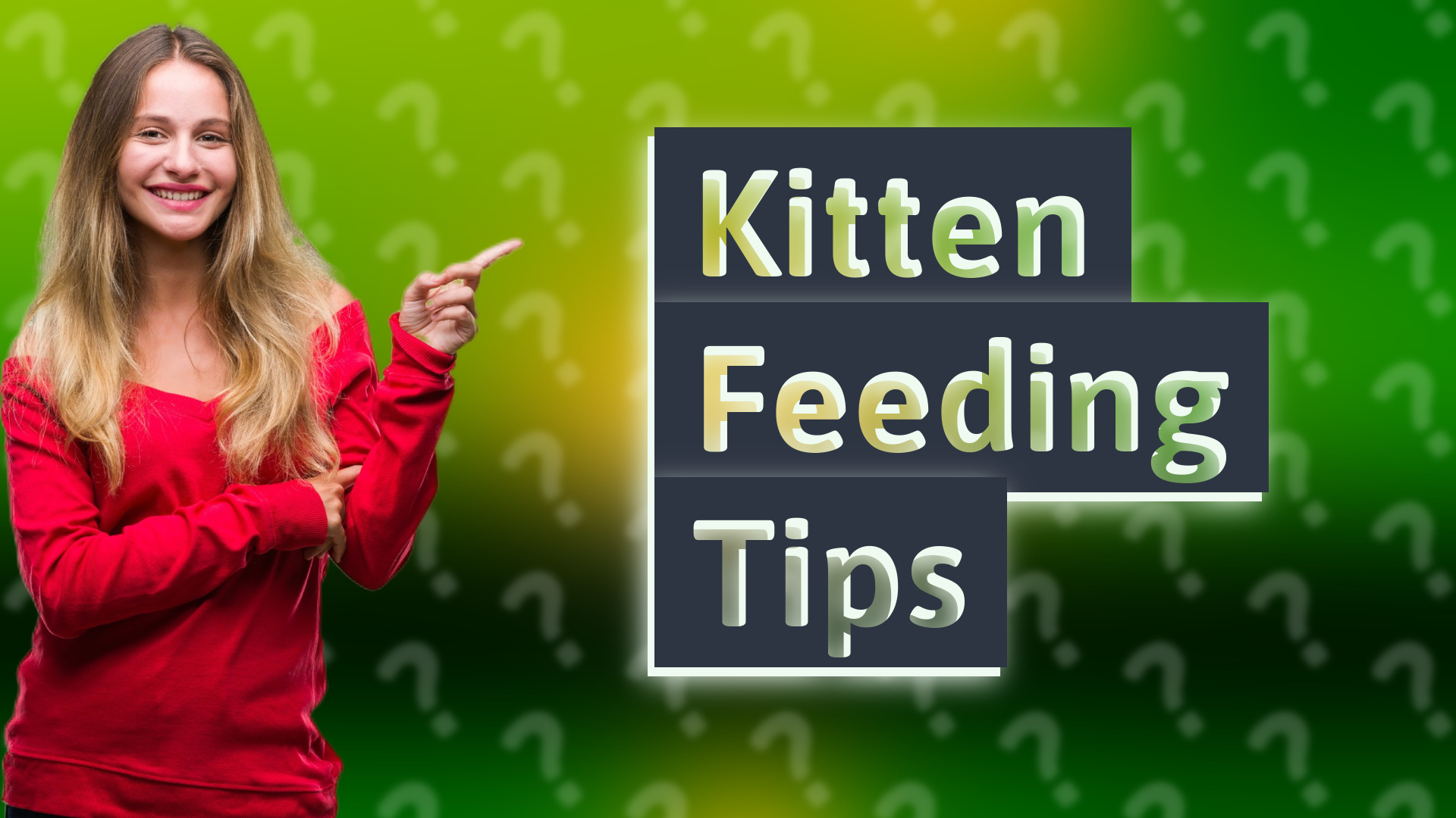 Kitten Feeding Tips