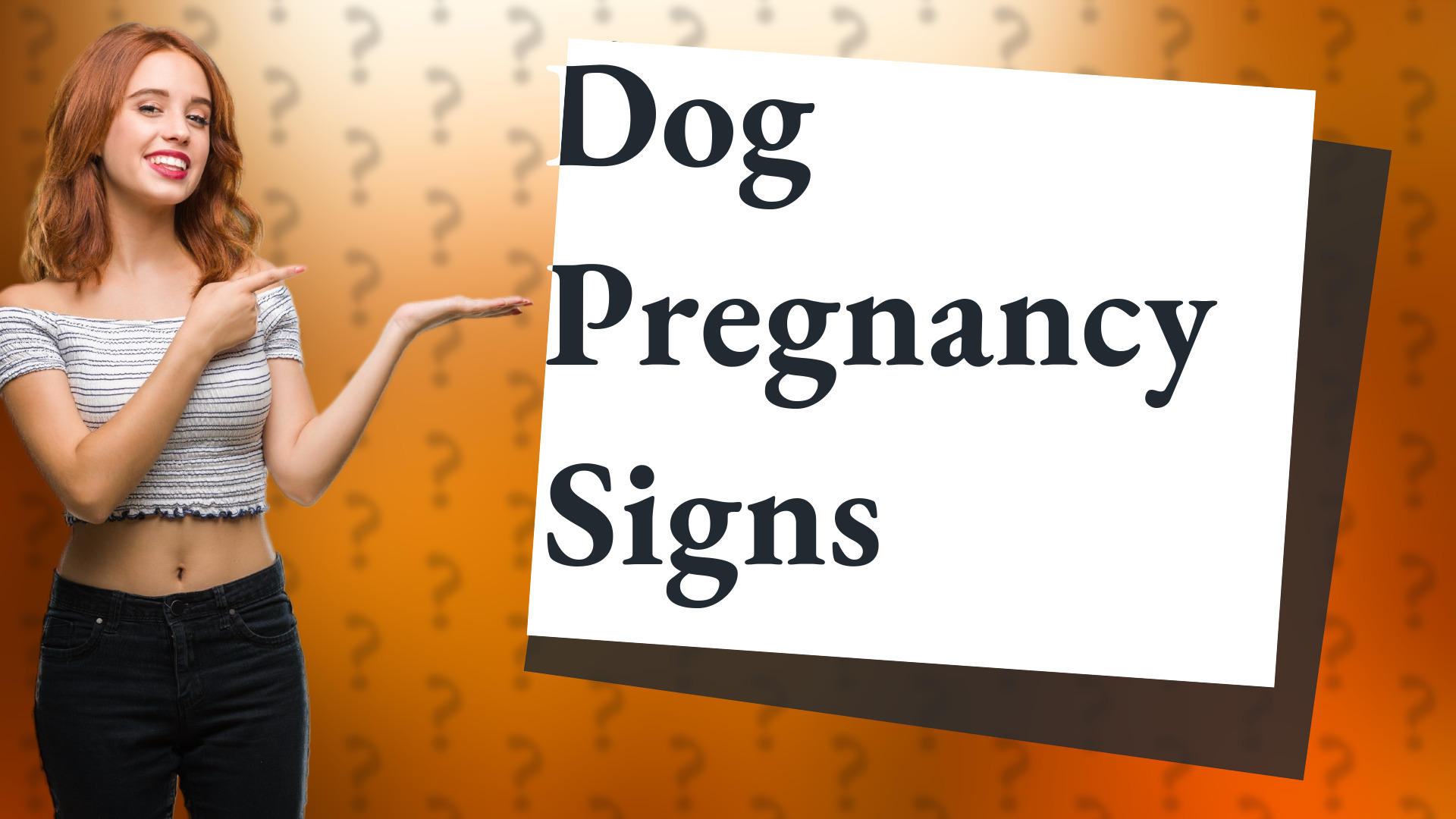 Dog Pregnancy Signs