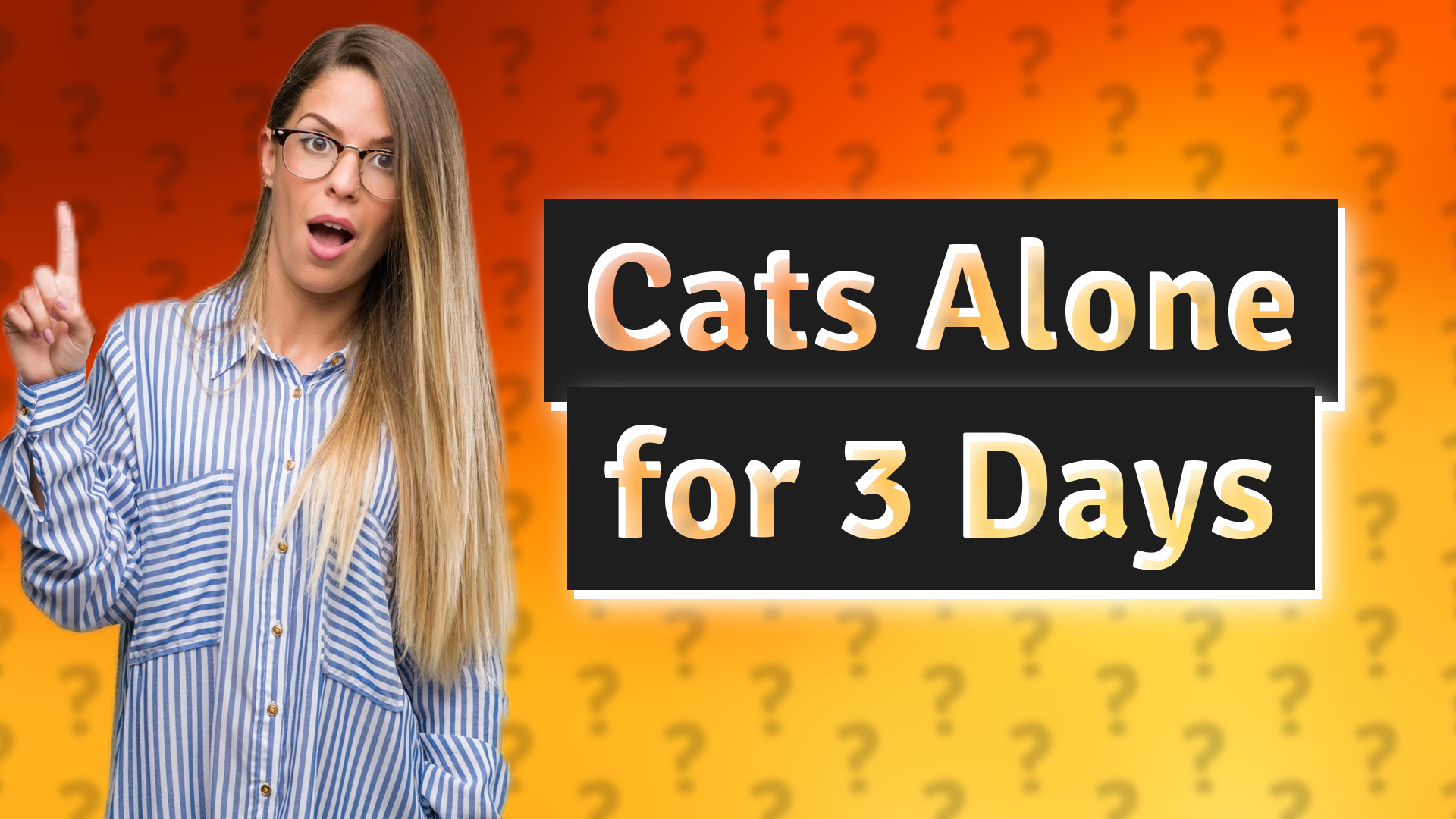 Cats Alone for 3 Days