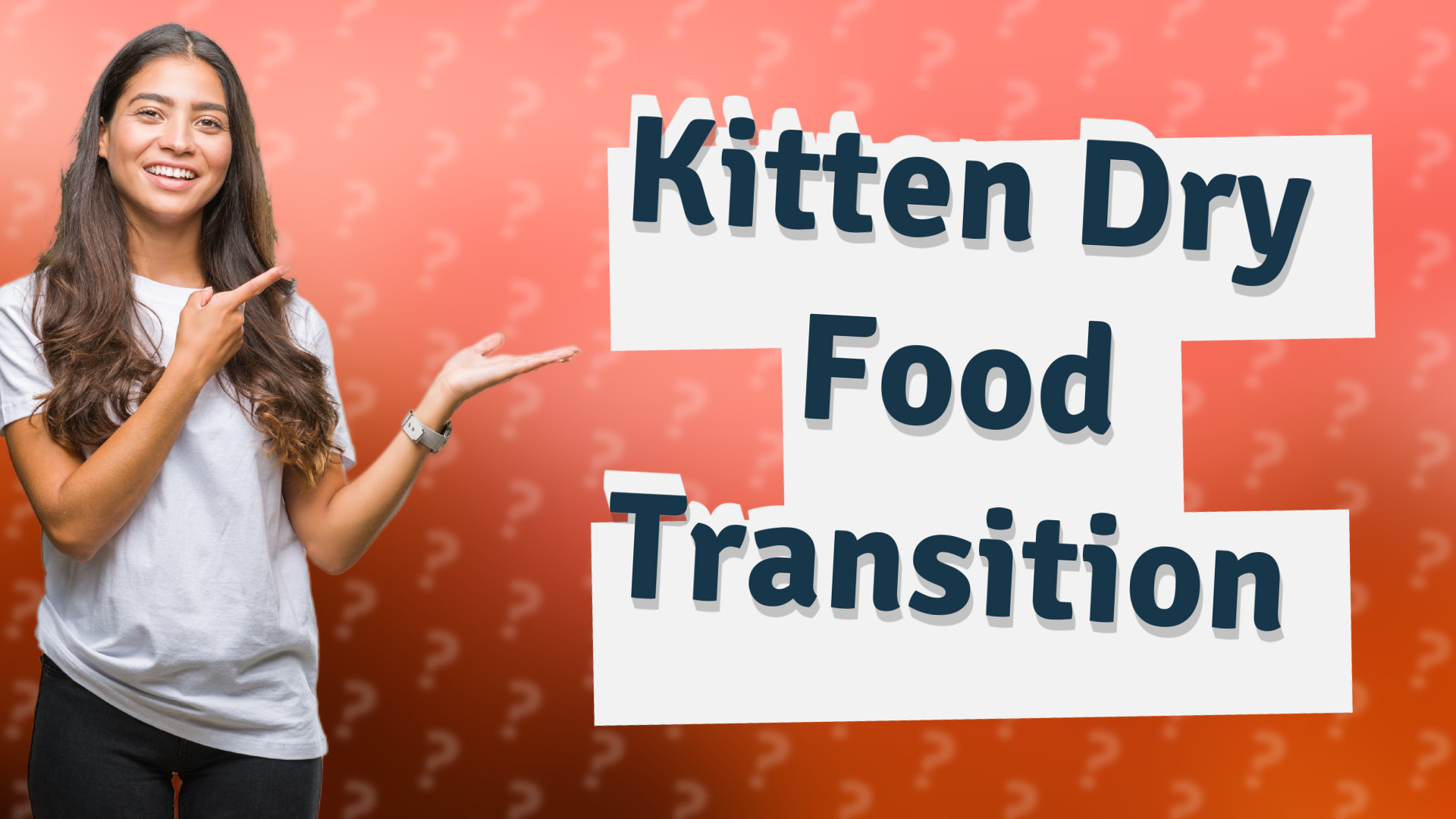 Kitten Dry Food Transition