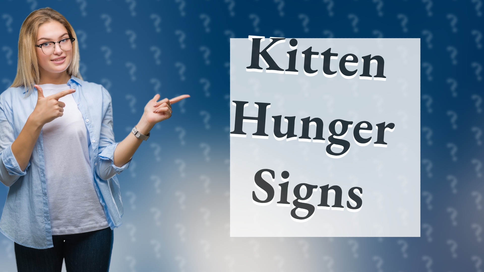 Kitten Hunger Signs