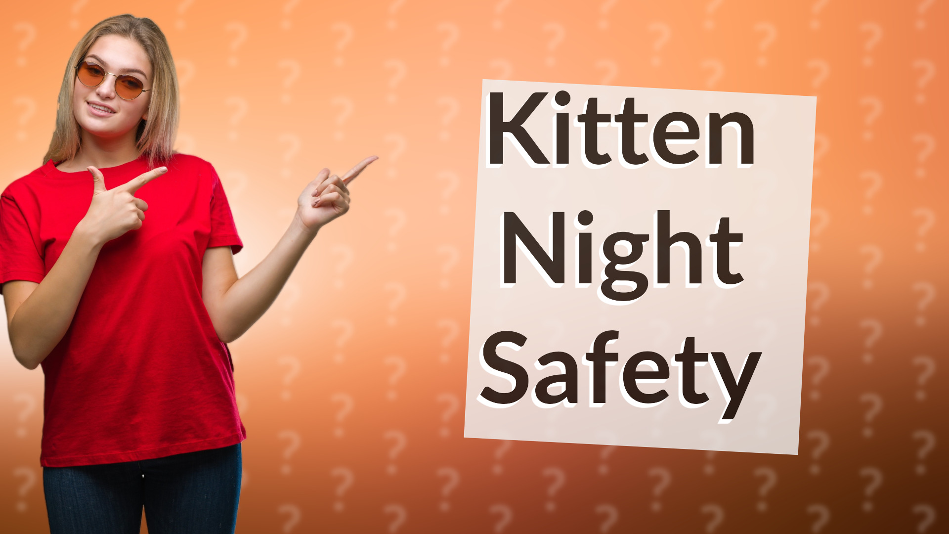 Kitten Night Safety
