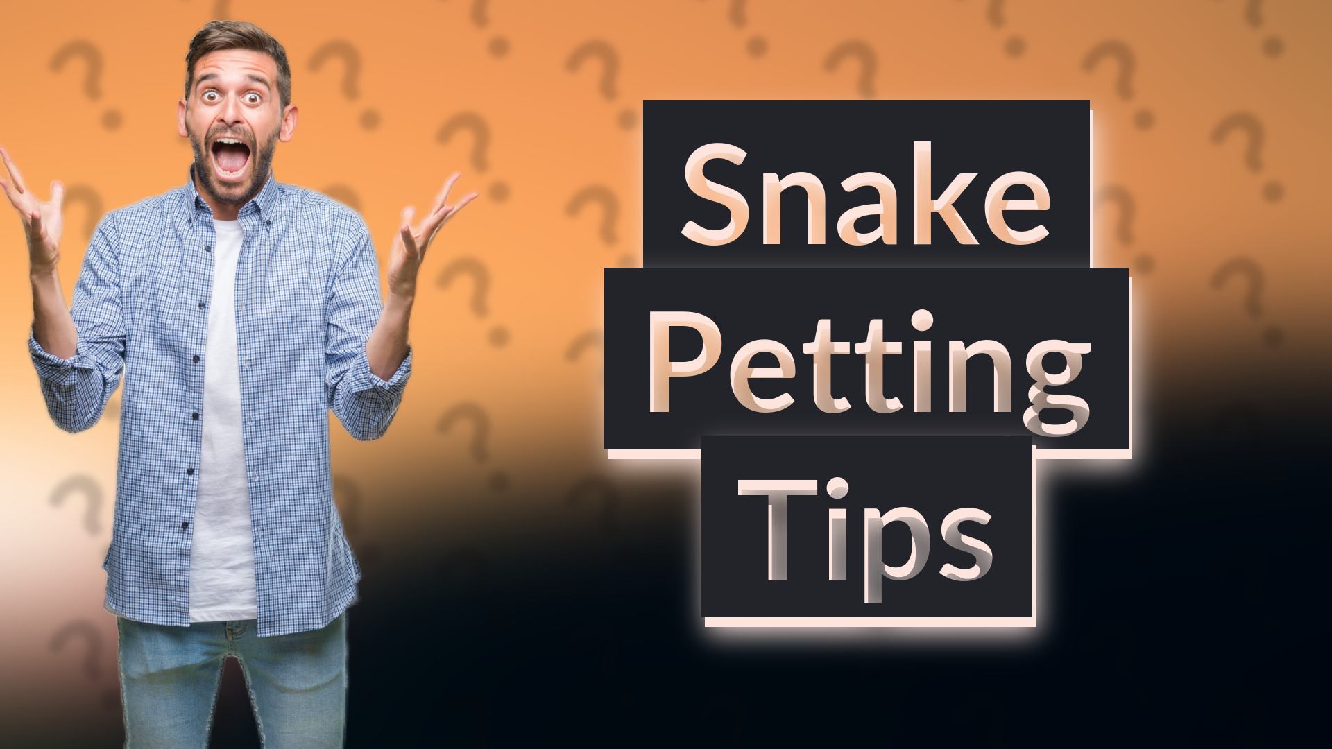 Snake Petting Tips