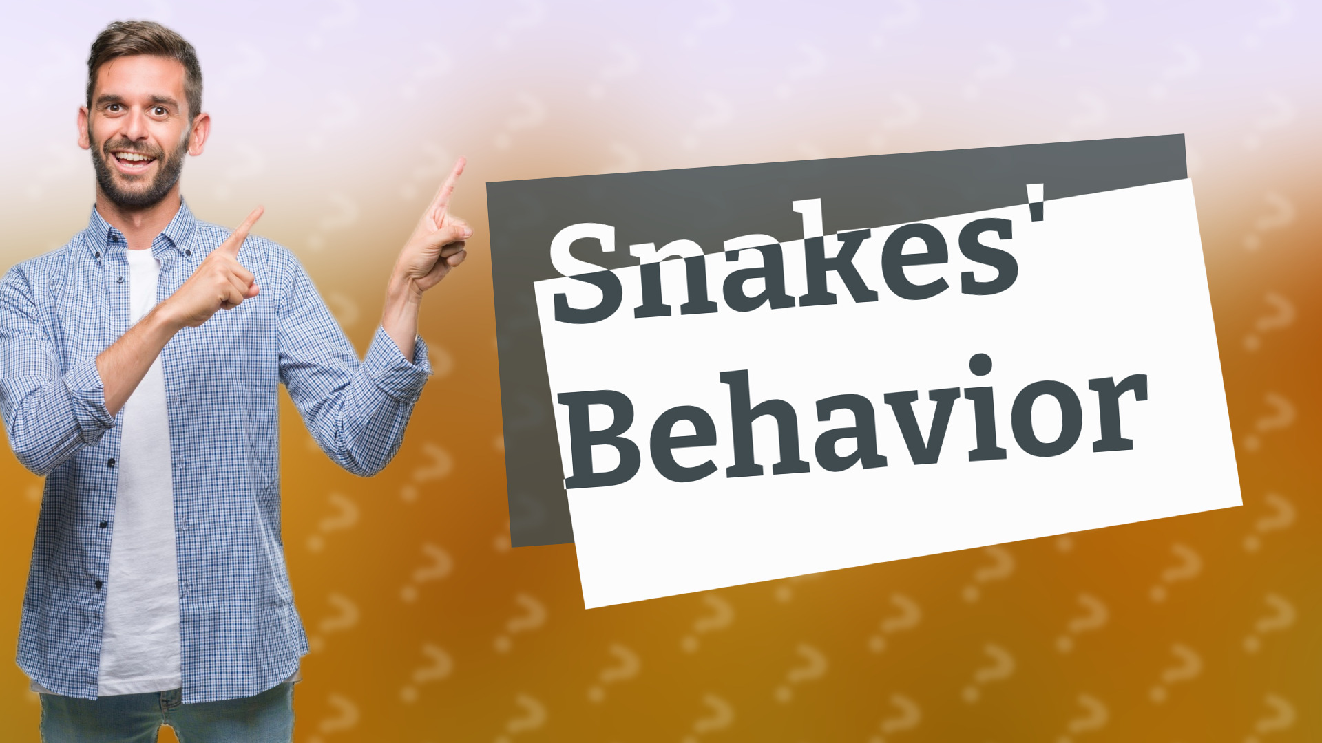Snakes' Behavior