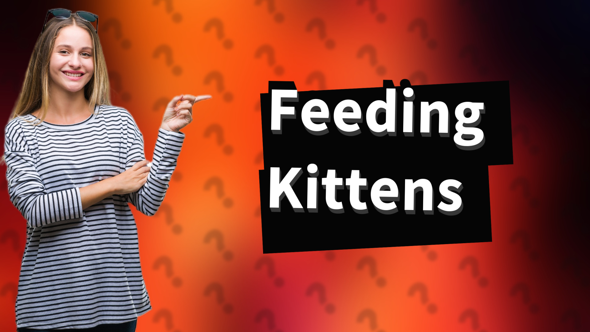 Feeding Kittens