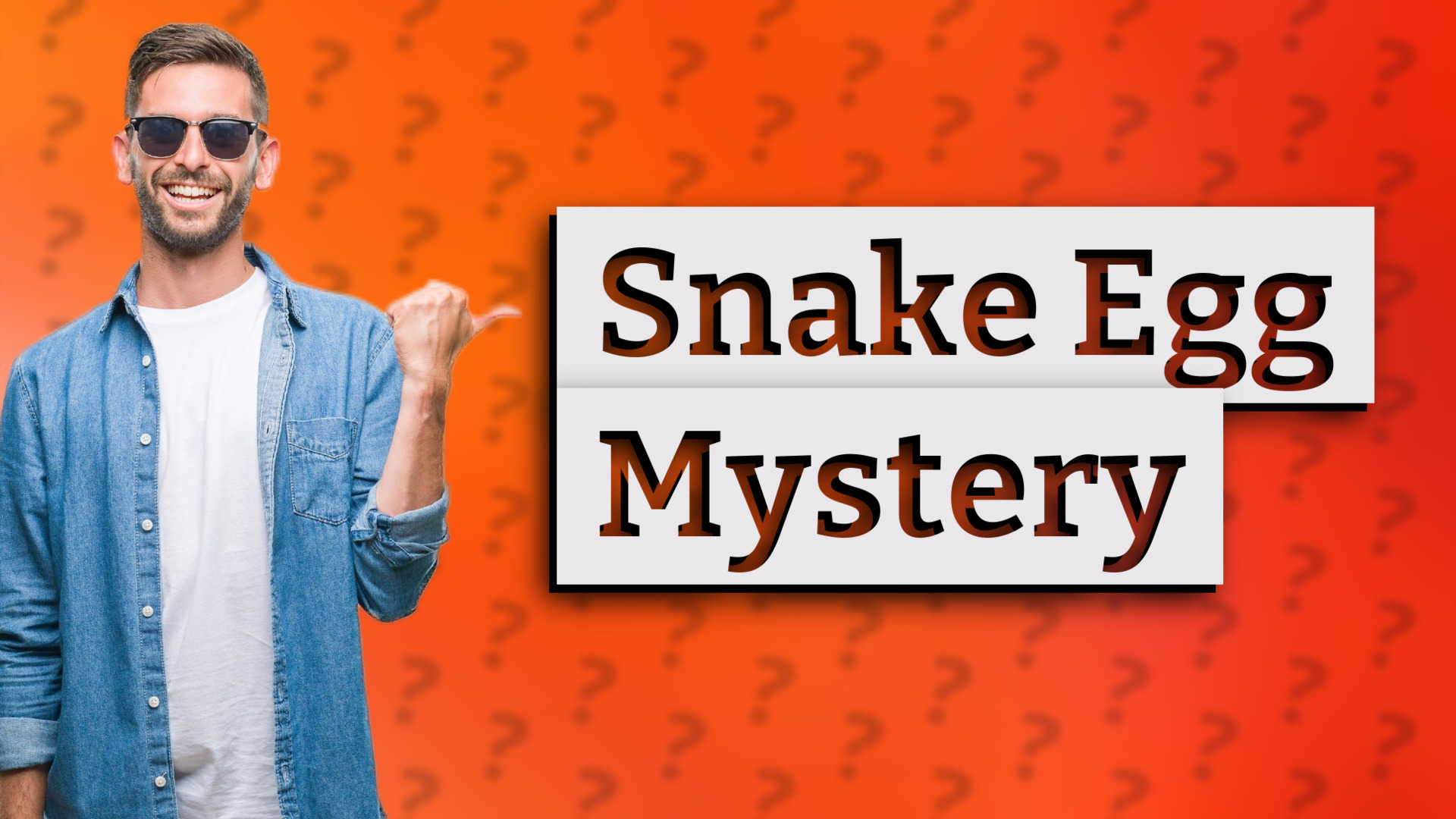 Snake Egg Mystery