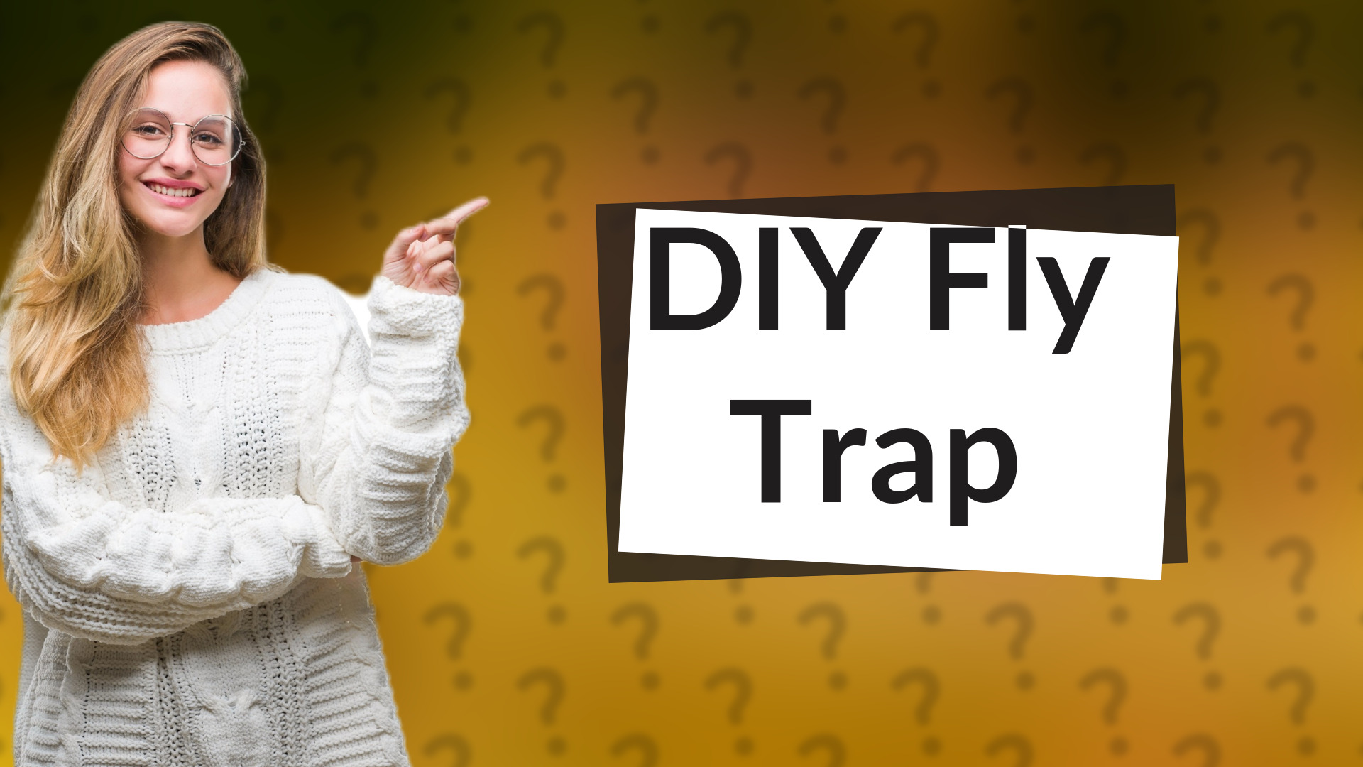 DIY Fly Trap