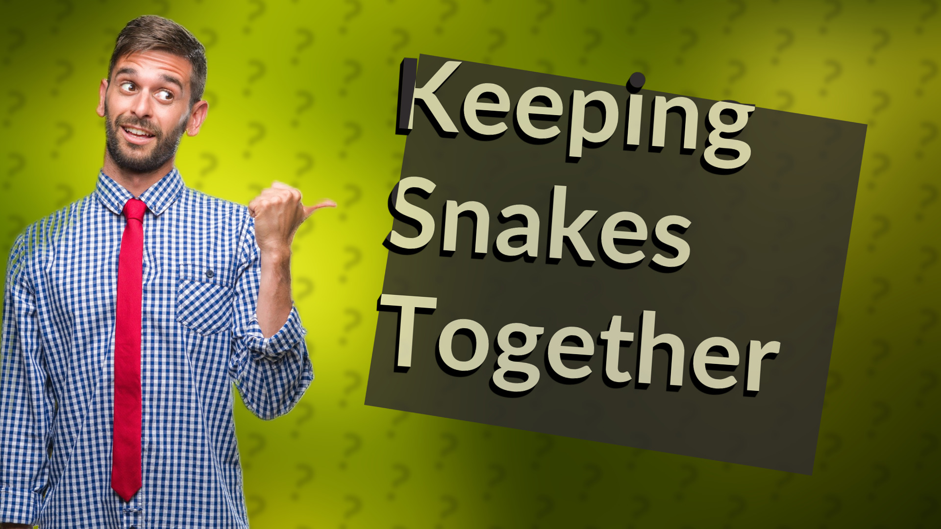 Keeping Snakes Together