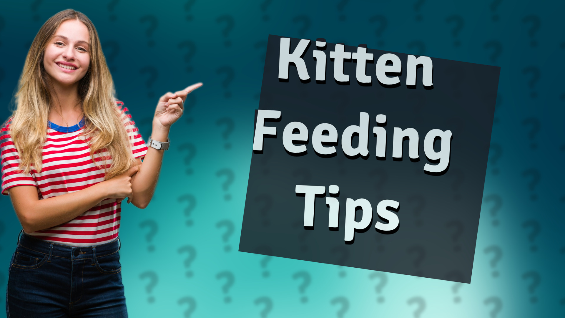 Kitten Feeding Tips