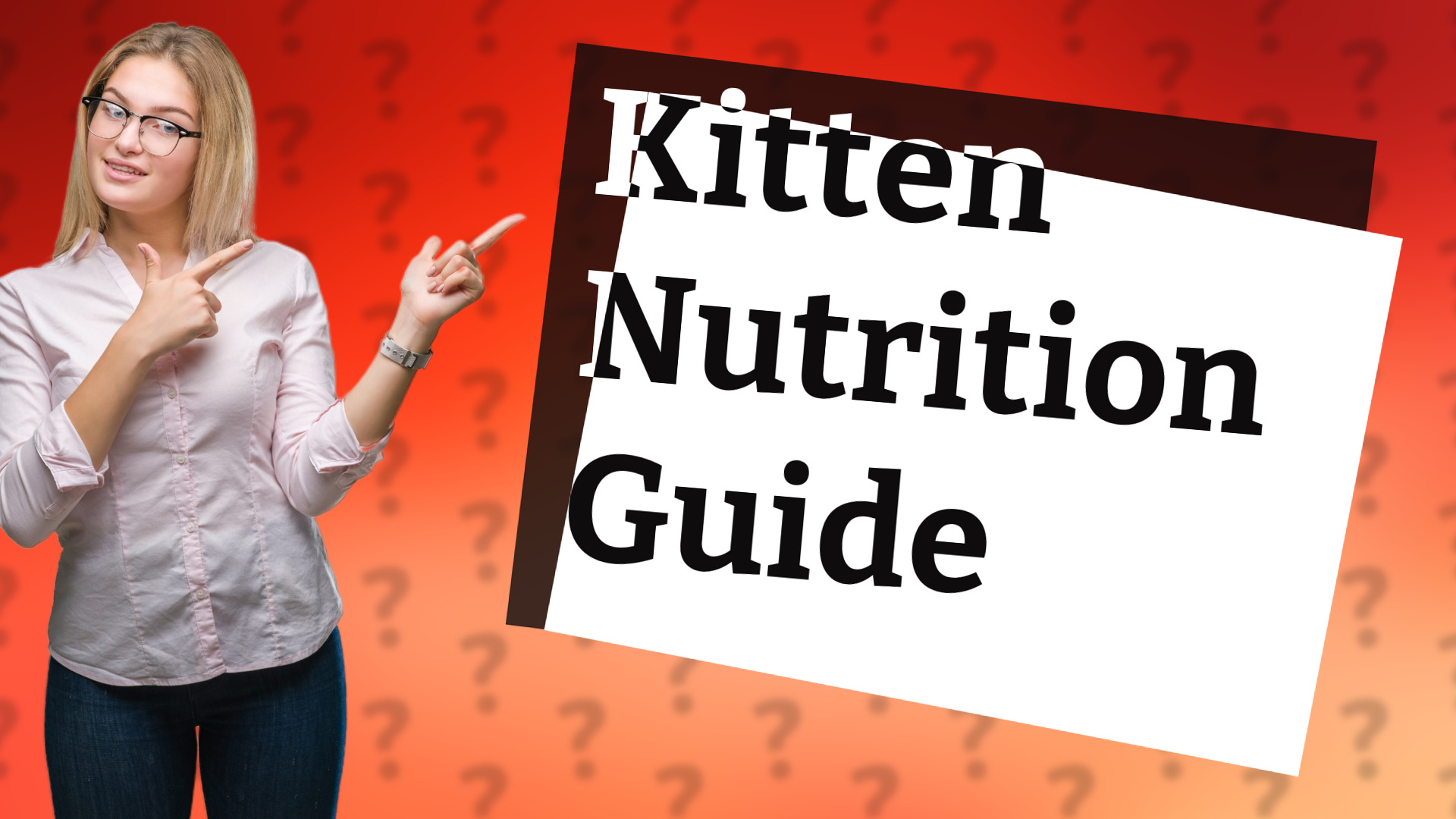 Kitten Nutrition Guide