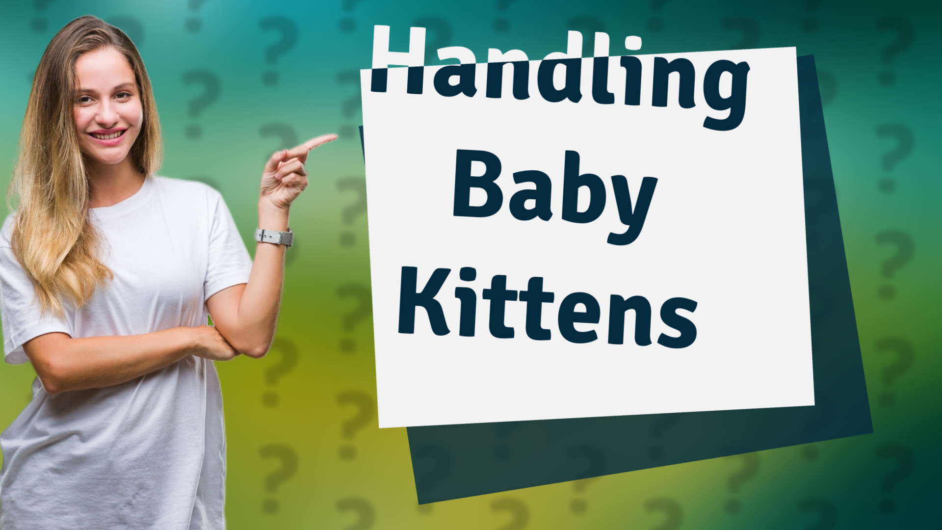 Handling Baby Kittens