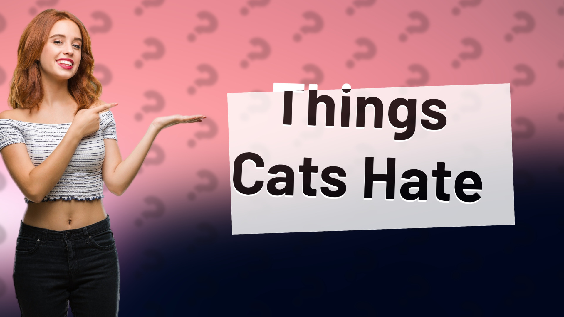 Things Cats Hate