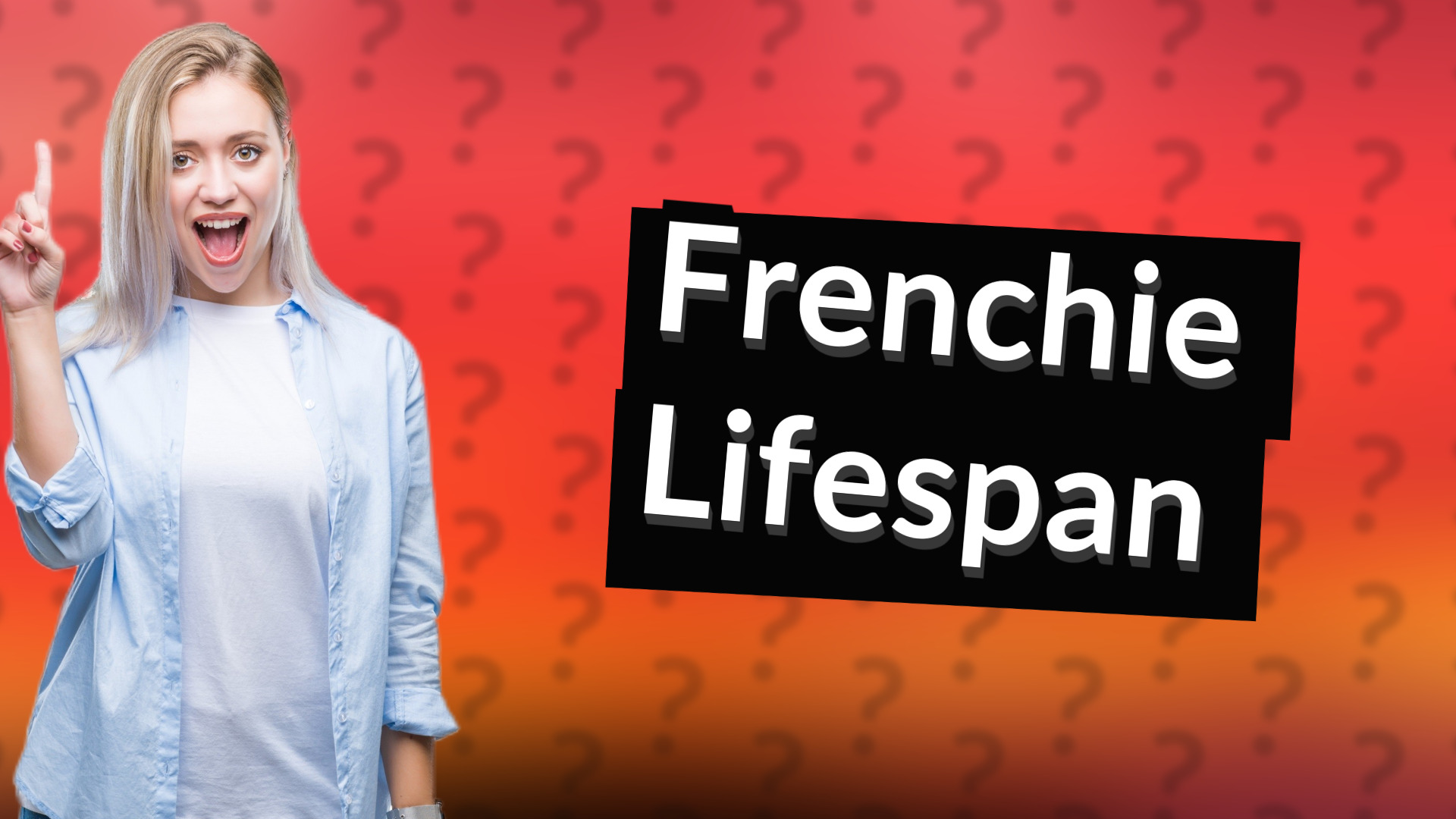 Frenchie Lifespan