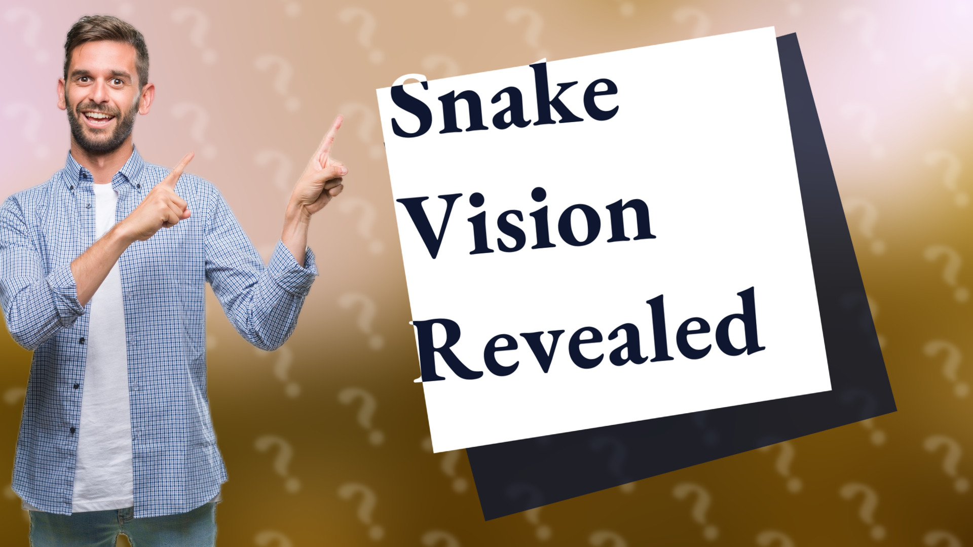 Snake Vision Revealed