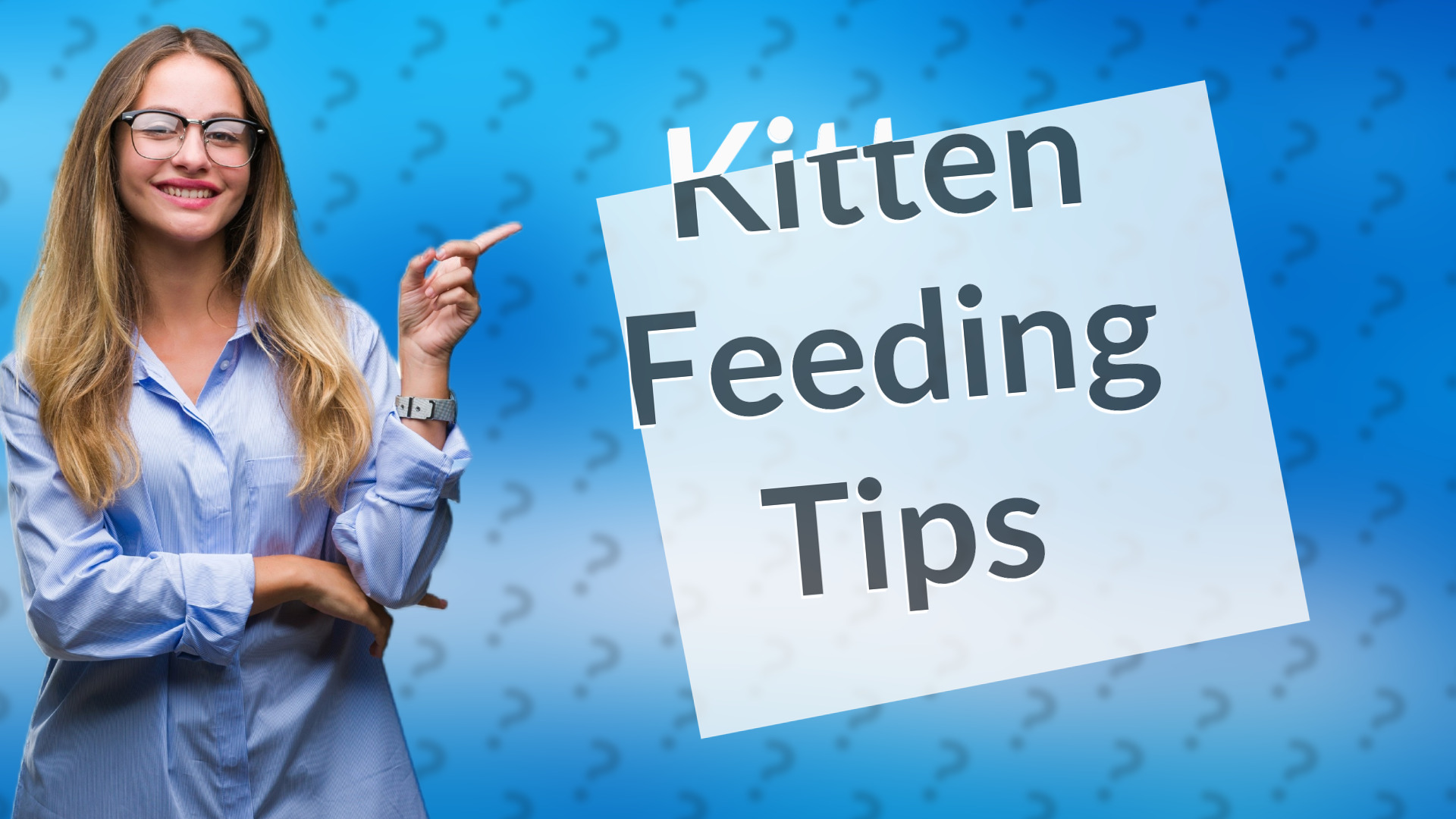 Kitten Feeding Tips