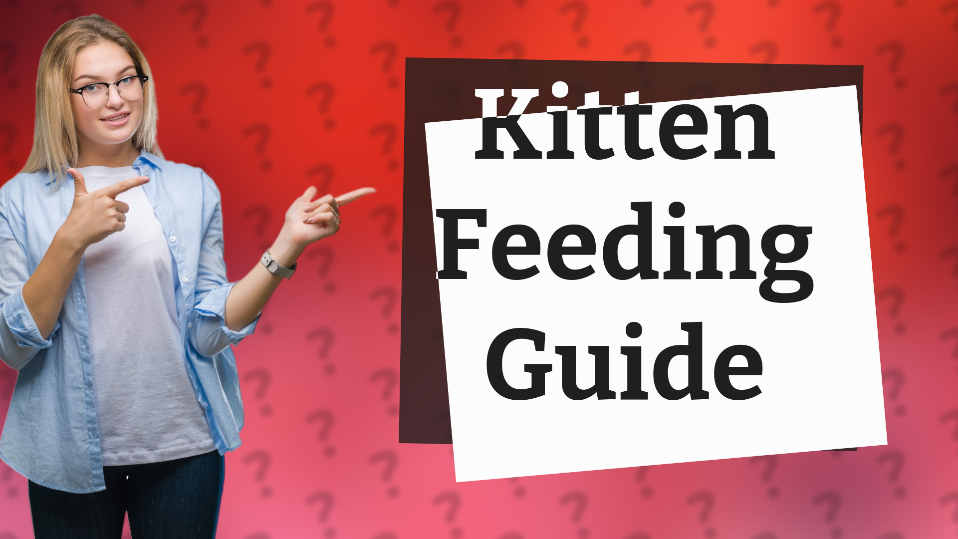 Kitten Feeding Guide