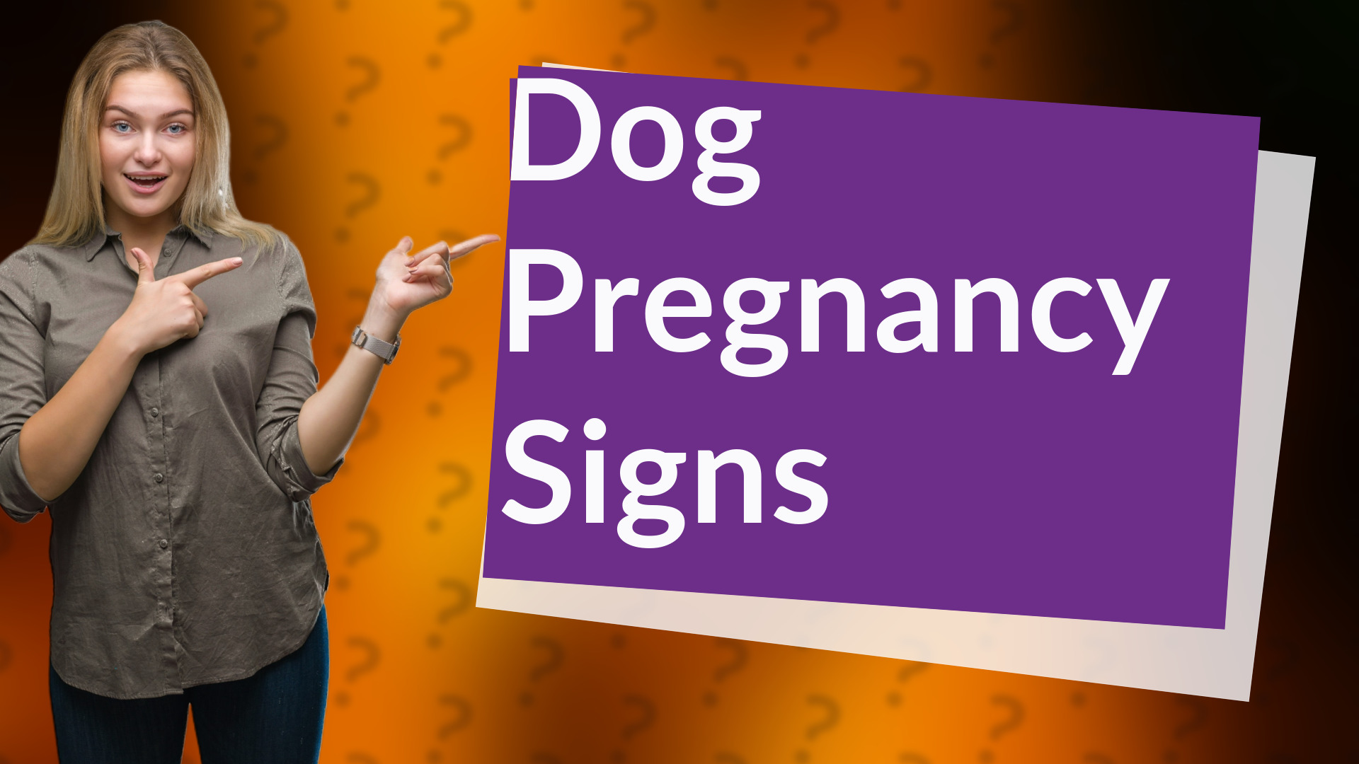 Dog Pregnancy Signs