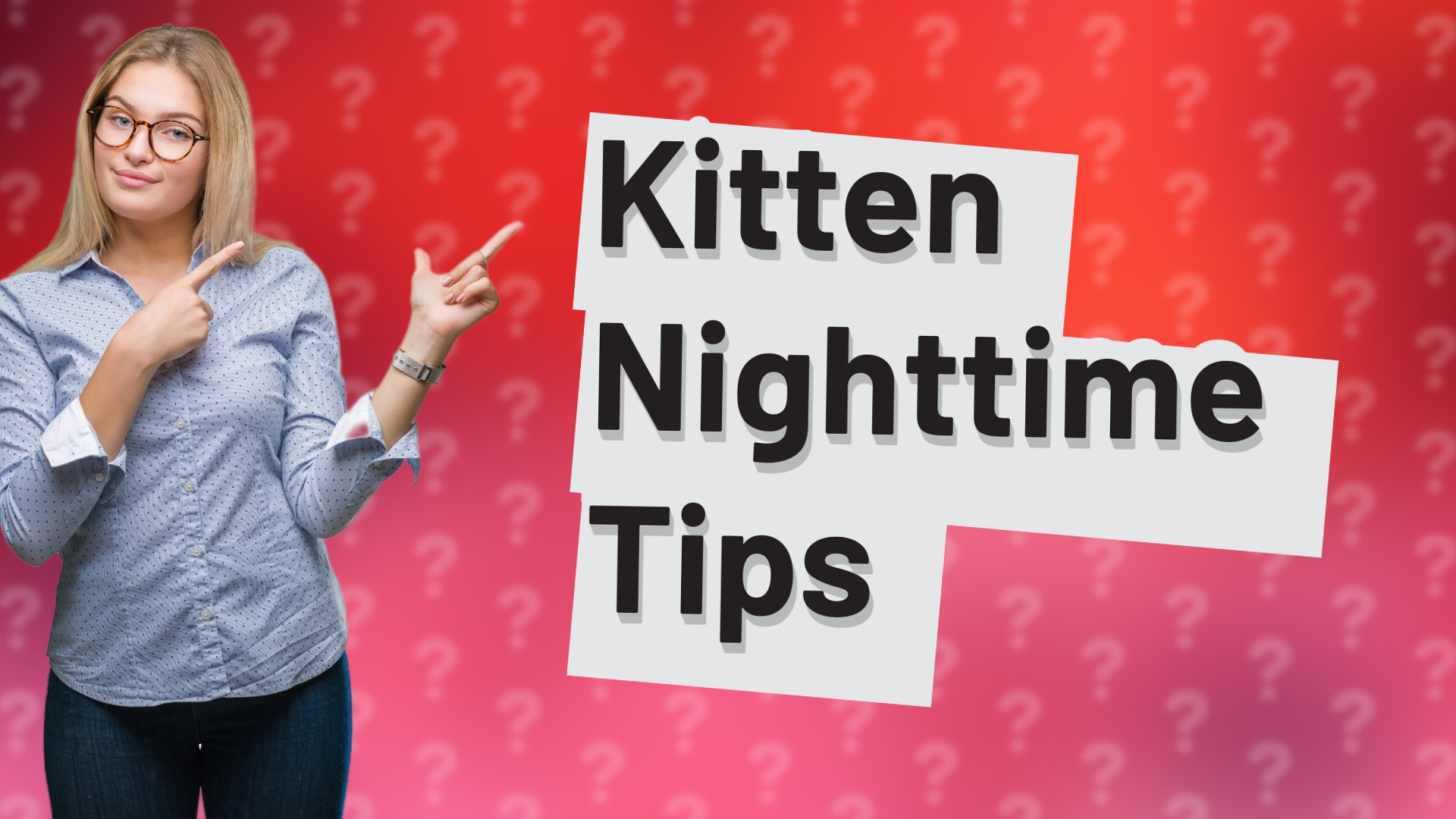 Kitten Nighttime Tips