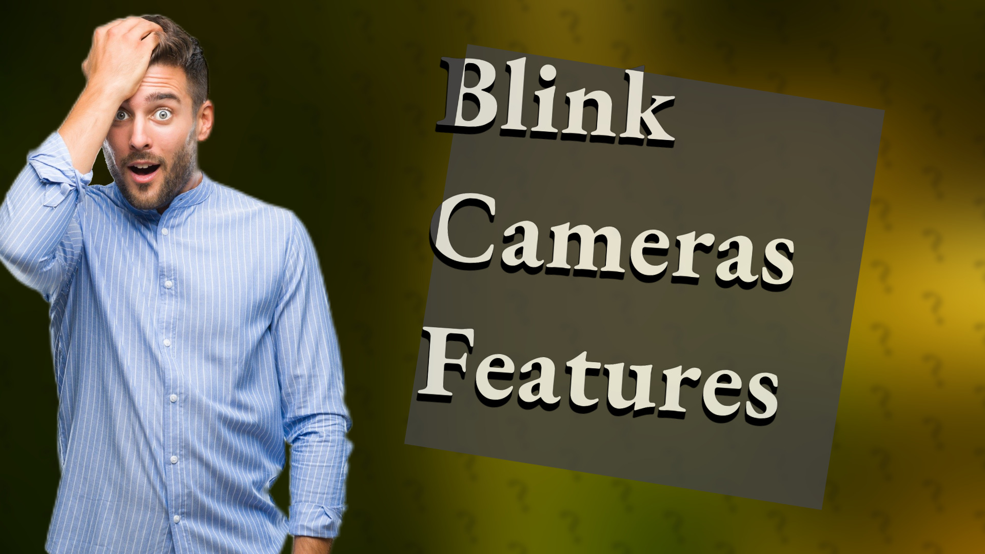 Blink Cameras Features