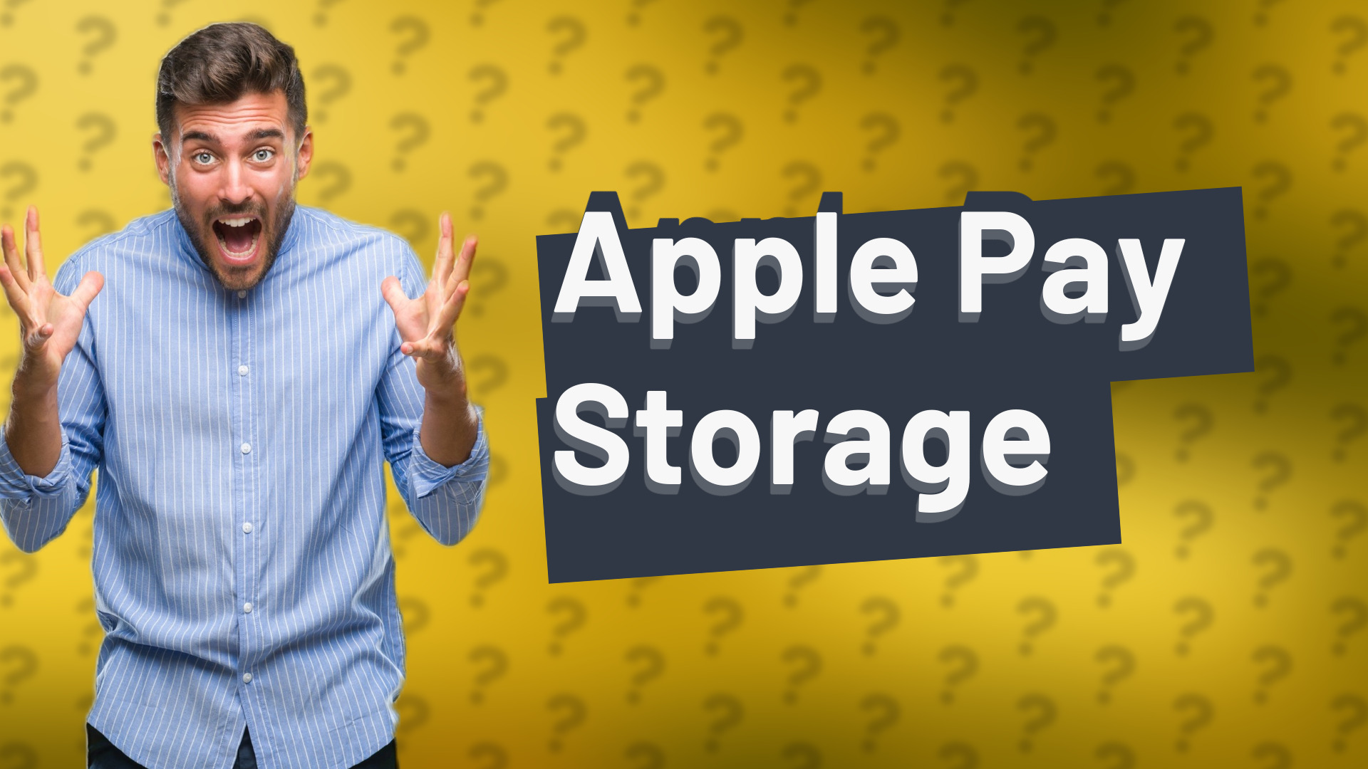 Apple Pay Storage
