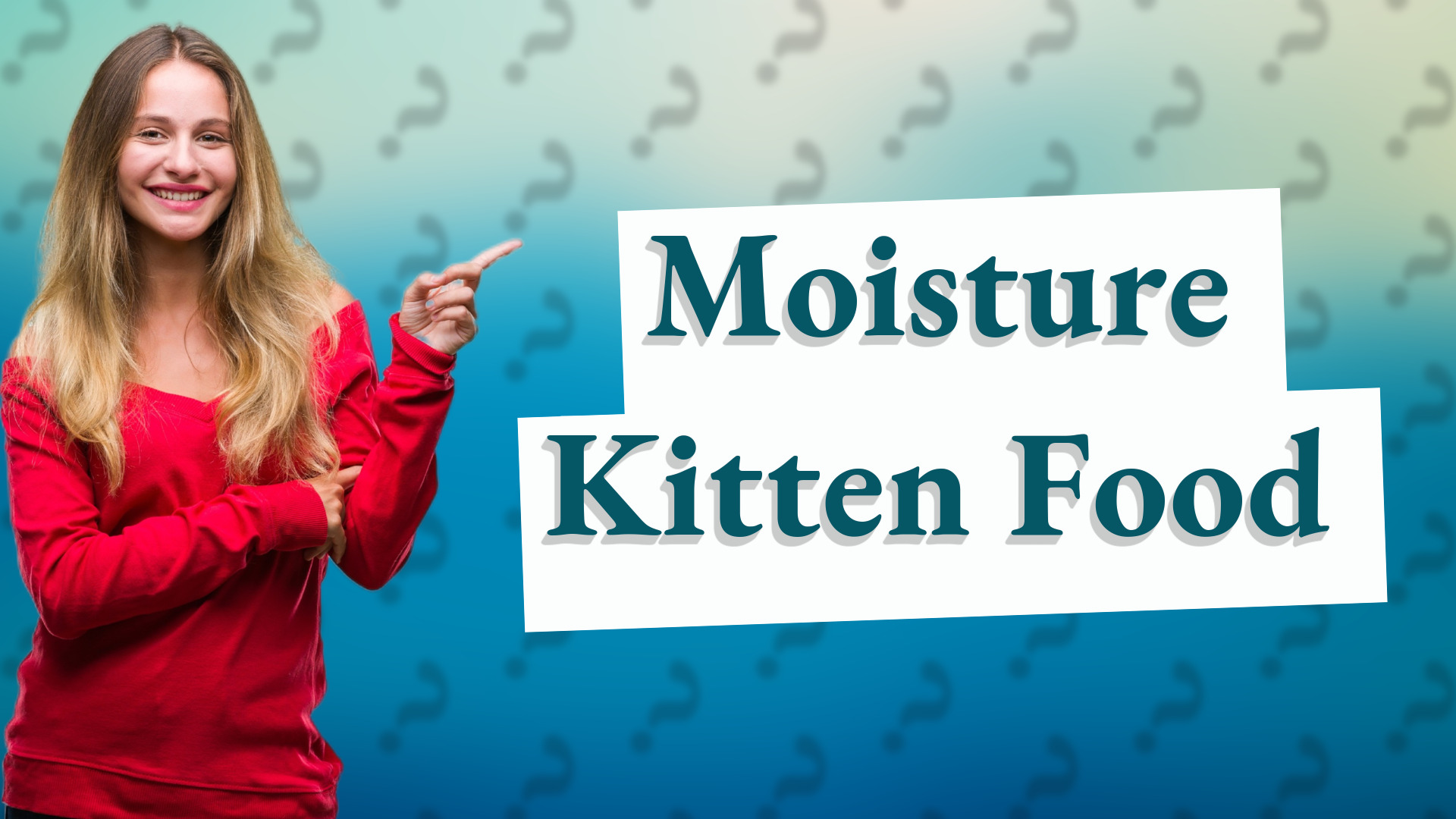 Moisture Kitten Food